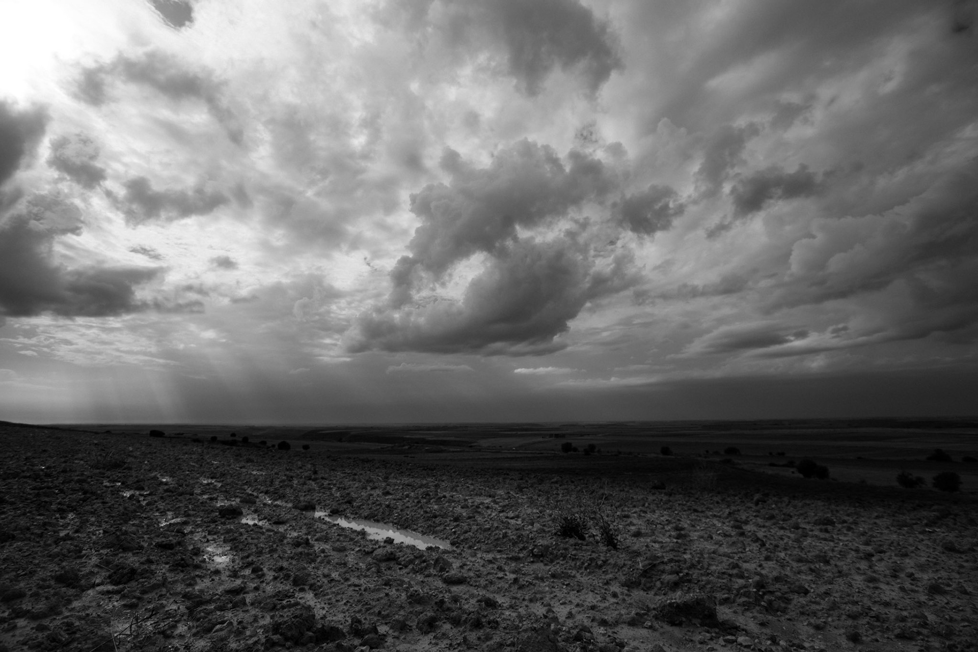 Tierras de Cultivo, Tejares, Segovia