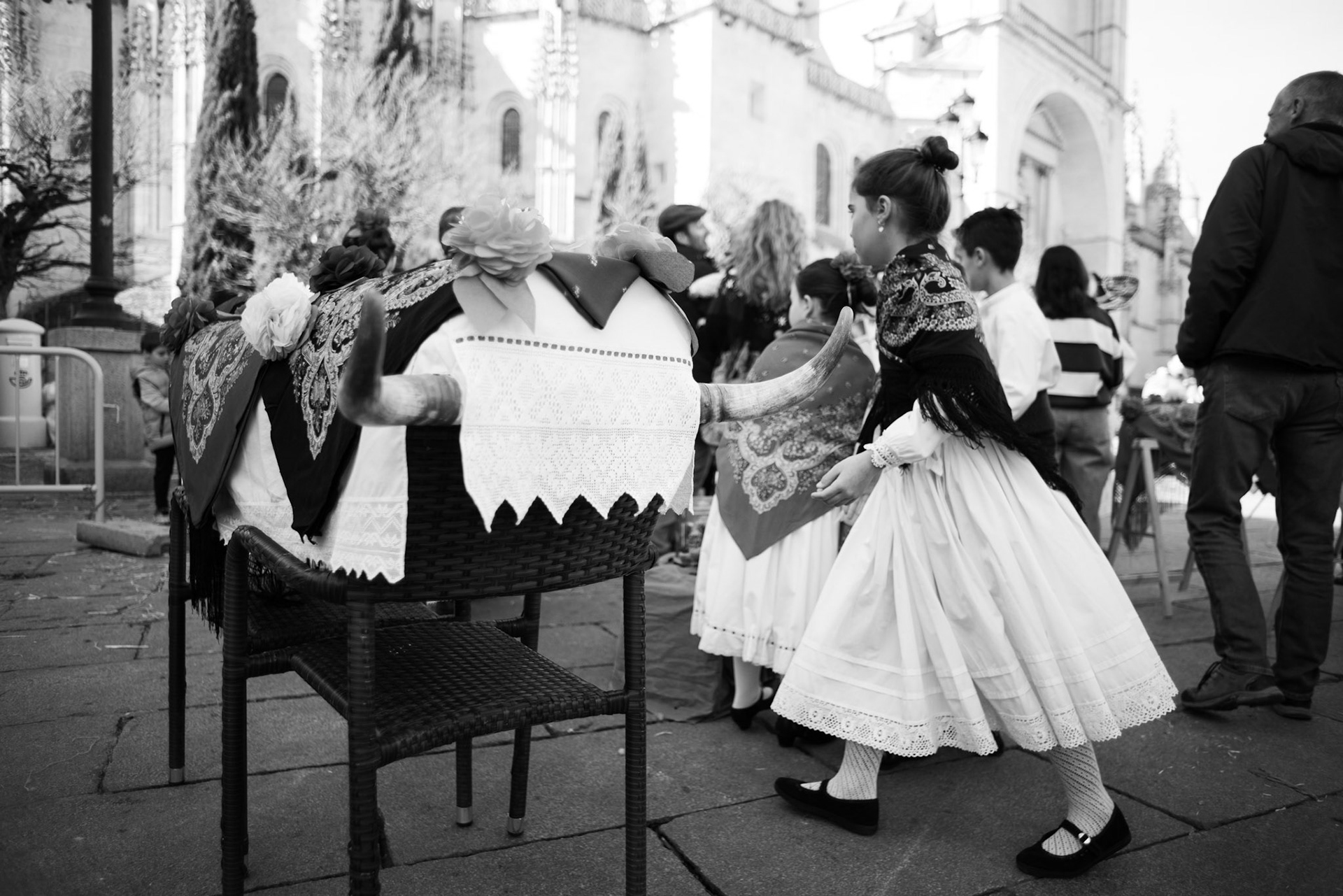 Vaquilla reposando.