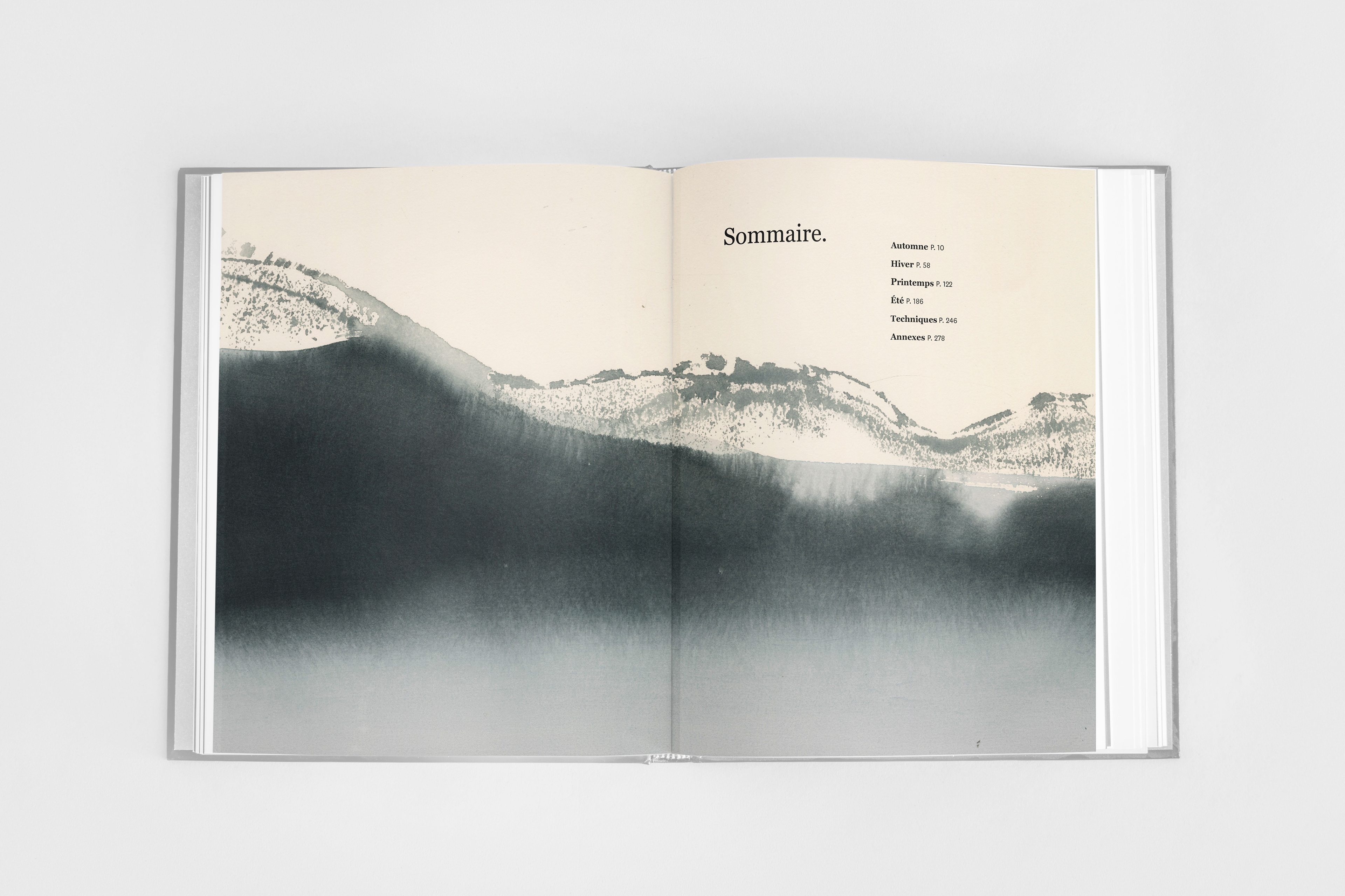 Illustrations : Aurore de la Morinerie
