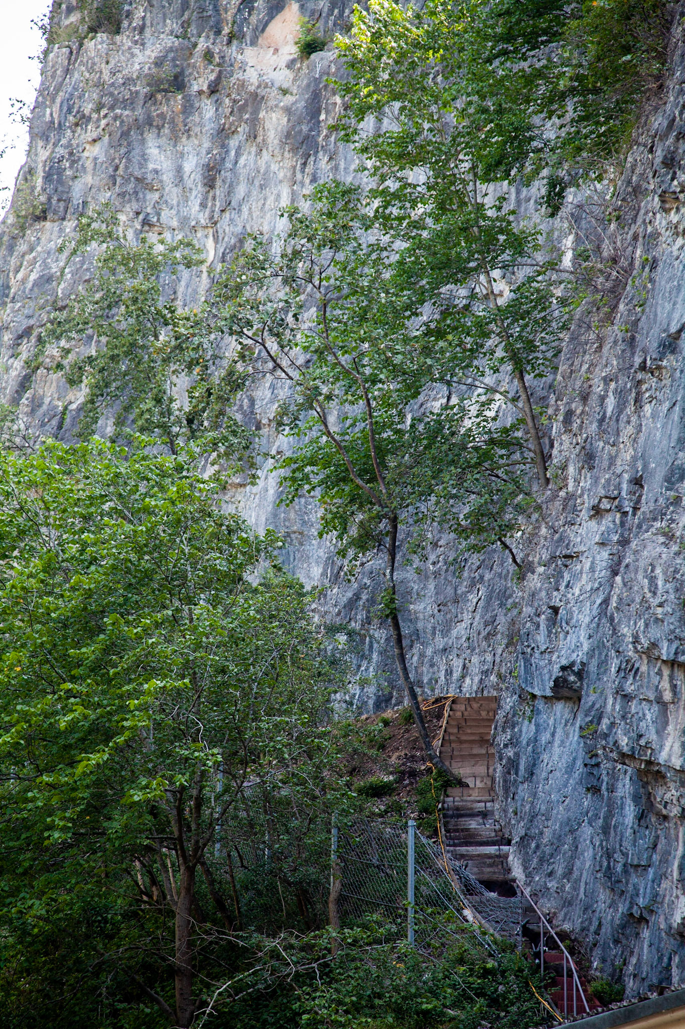 Chedder Gorge