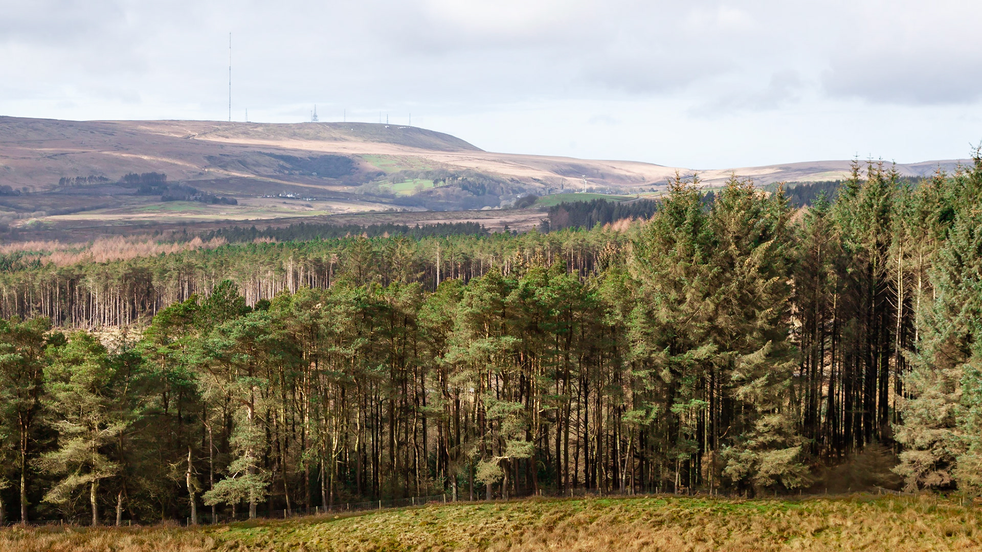 Looking to winter Hill