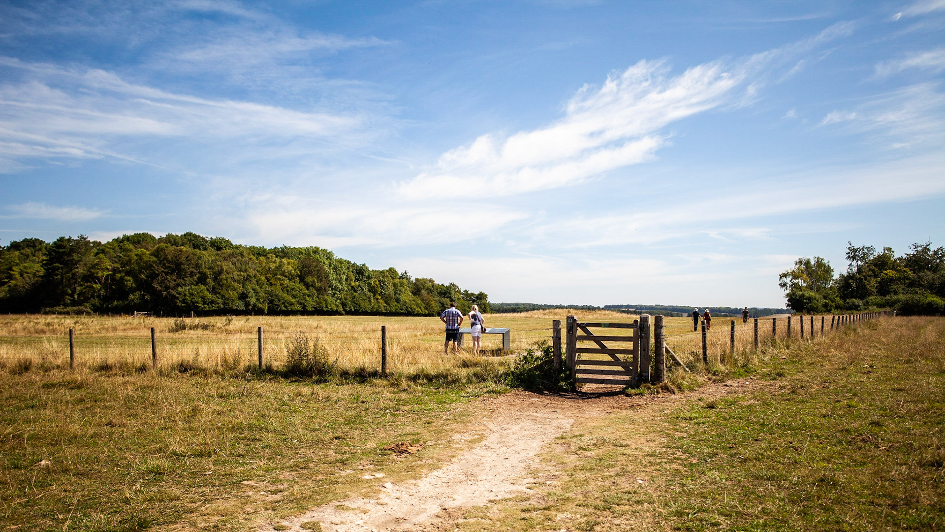 Walkway to stonehenge