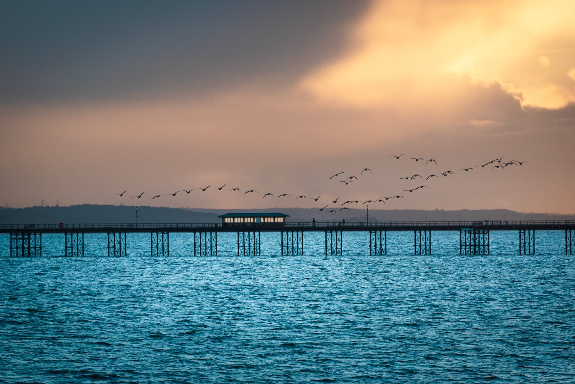 Migratory geese in flight over Southend Pier