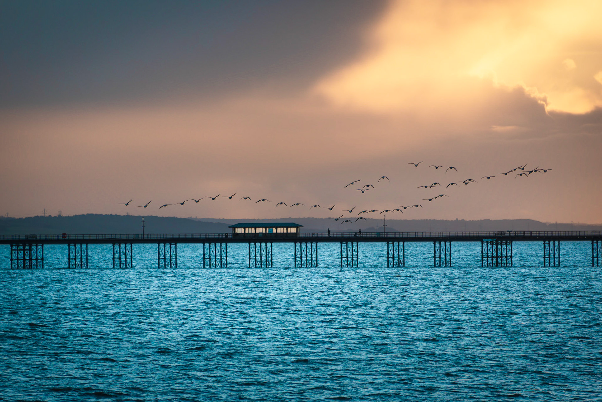 Migratory geese in flight over Southend Pier