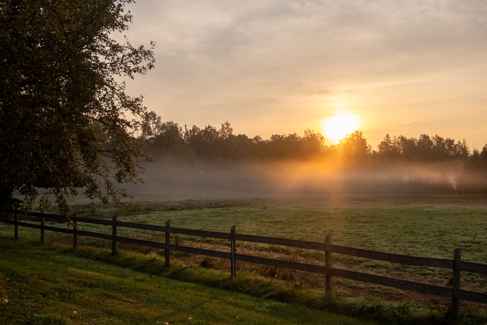 The sunrise, on Sunset Farms