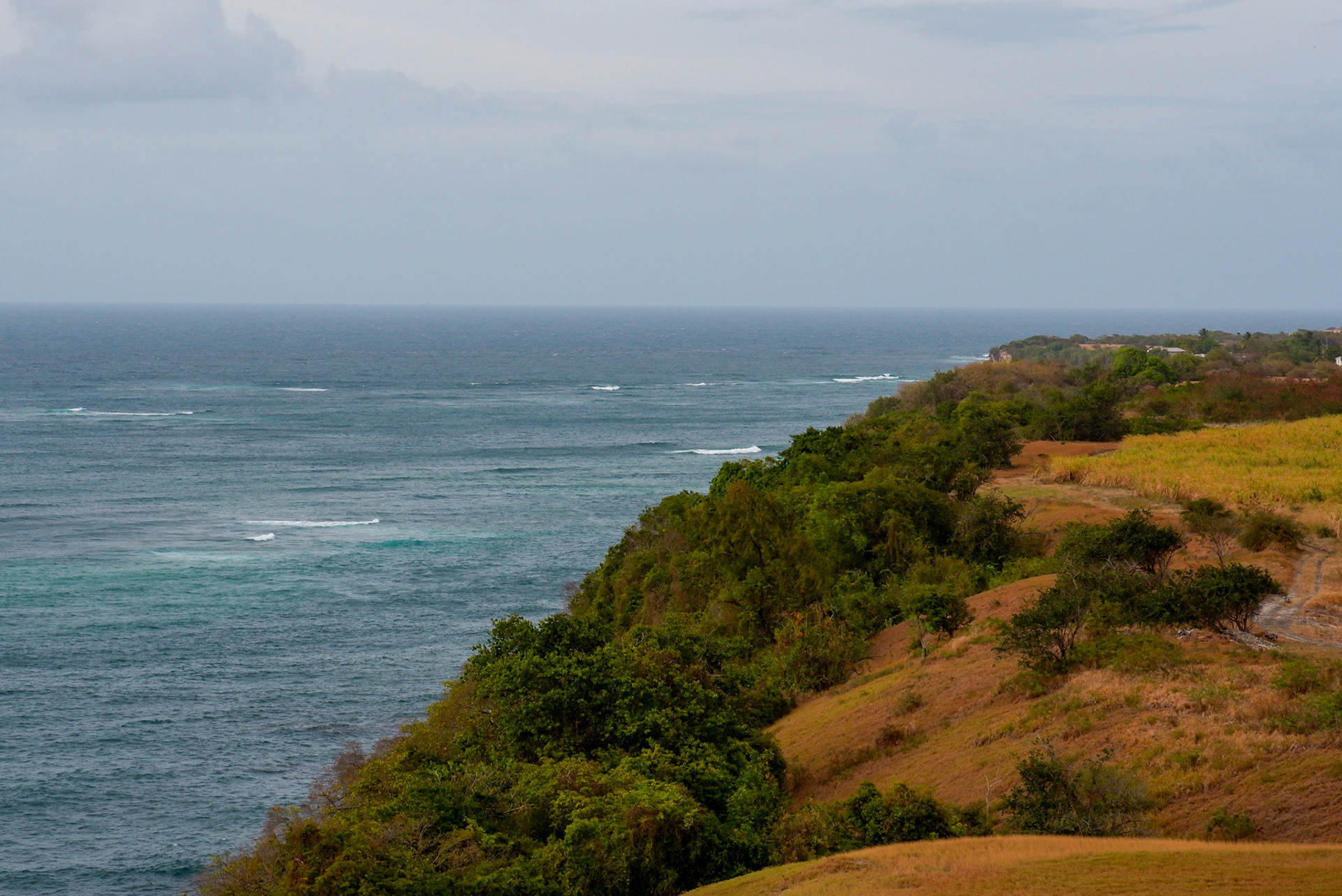 North coast of Barbados.