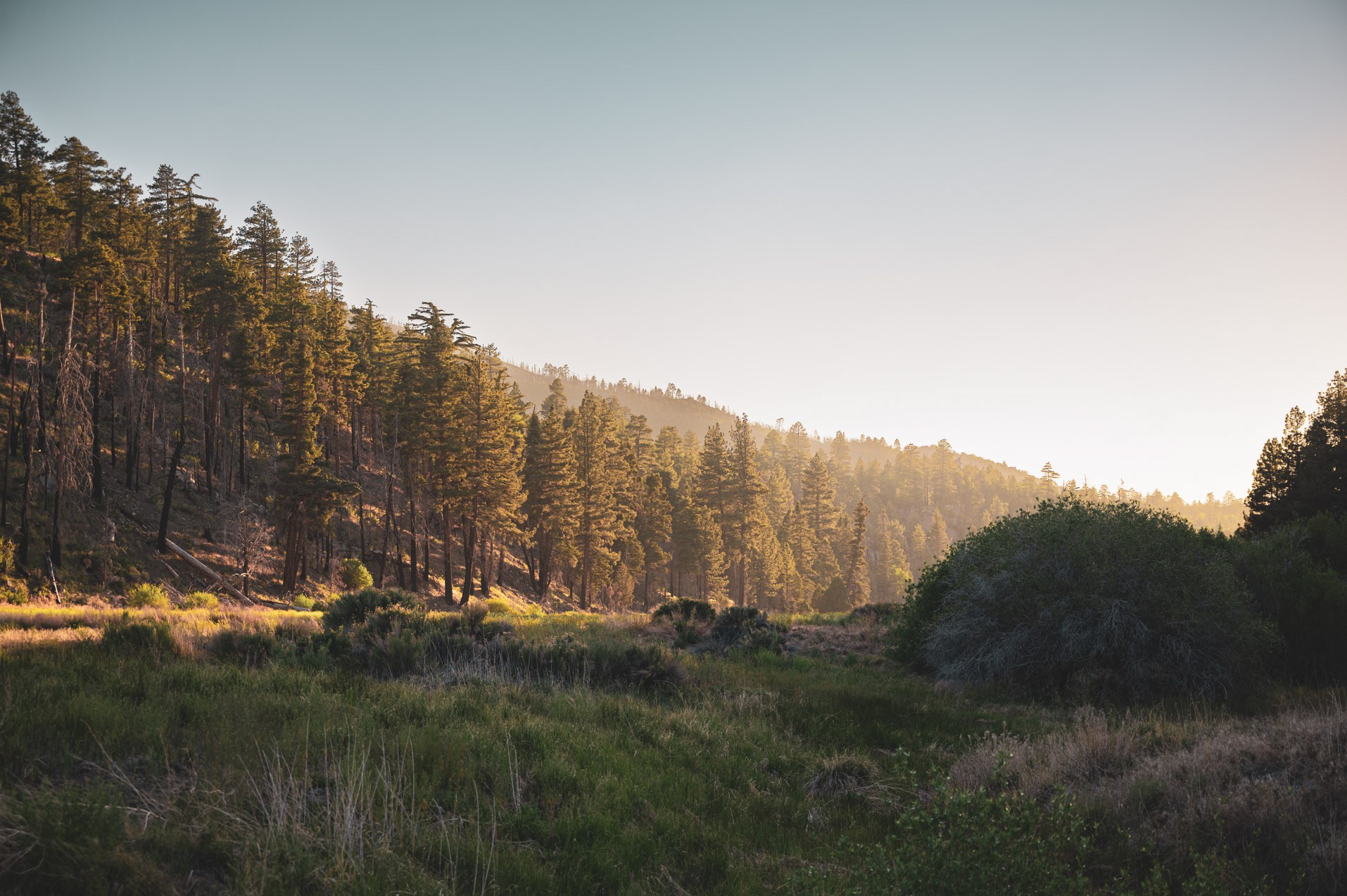 Landscape photography
