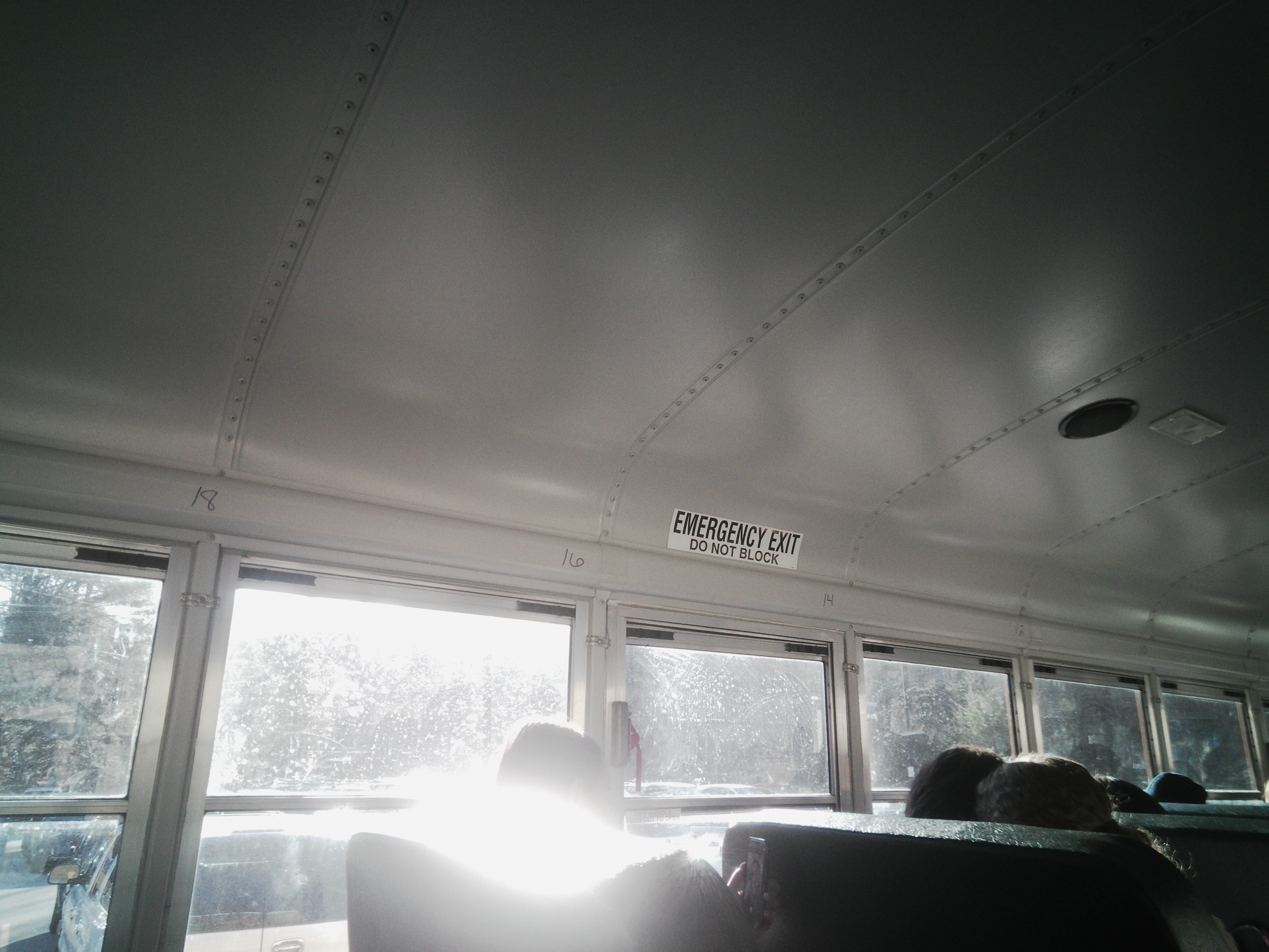 On The Bus, Boston, Massachusetts, 2024, Papershoot camera