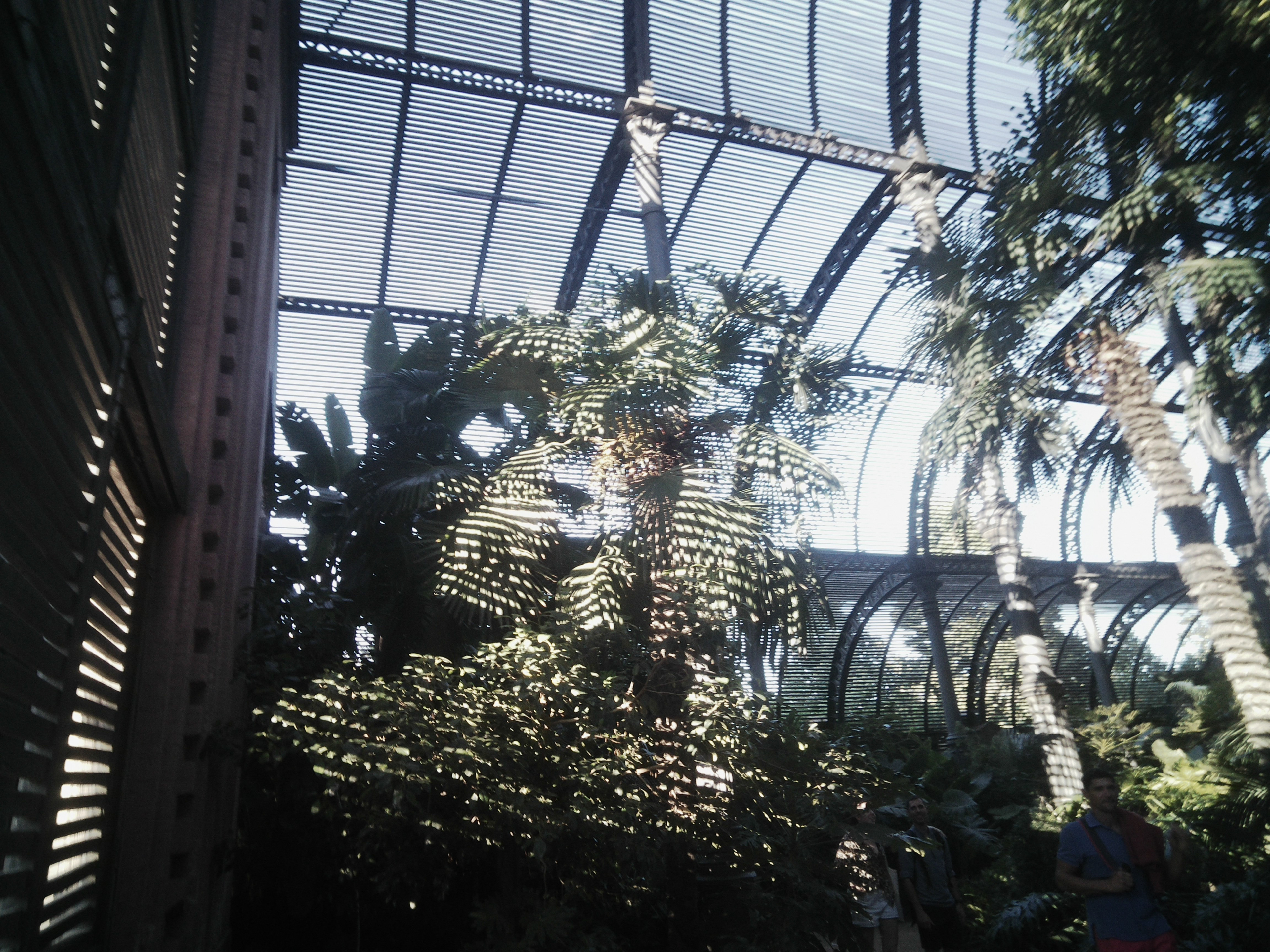 Barcelona, Spain, 2024, Papershoot camera