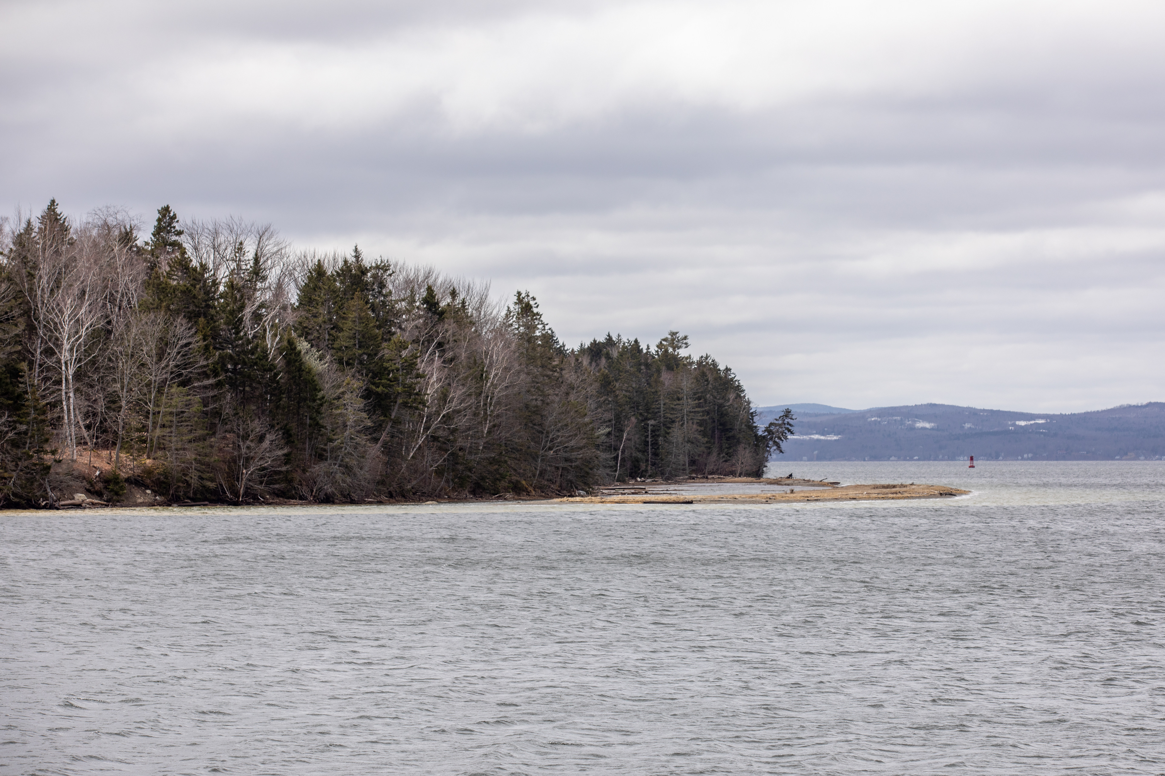 The western edge of Sears Island seen from the western beach.