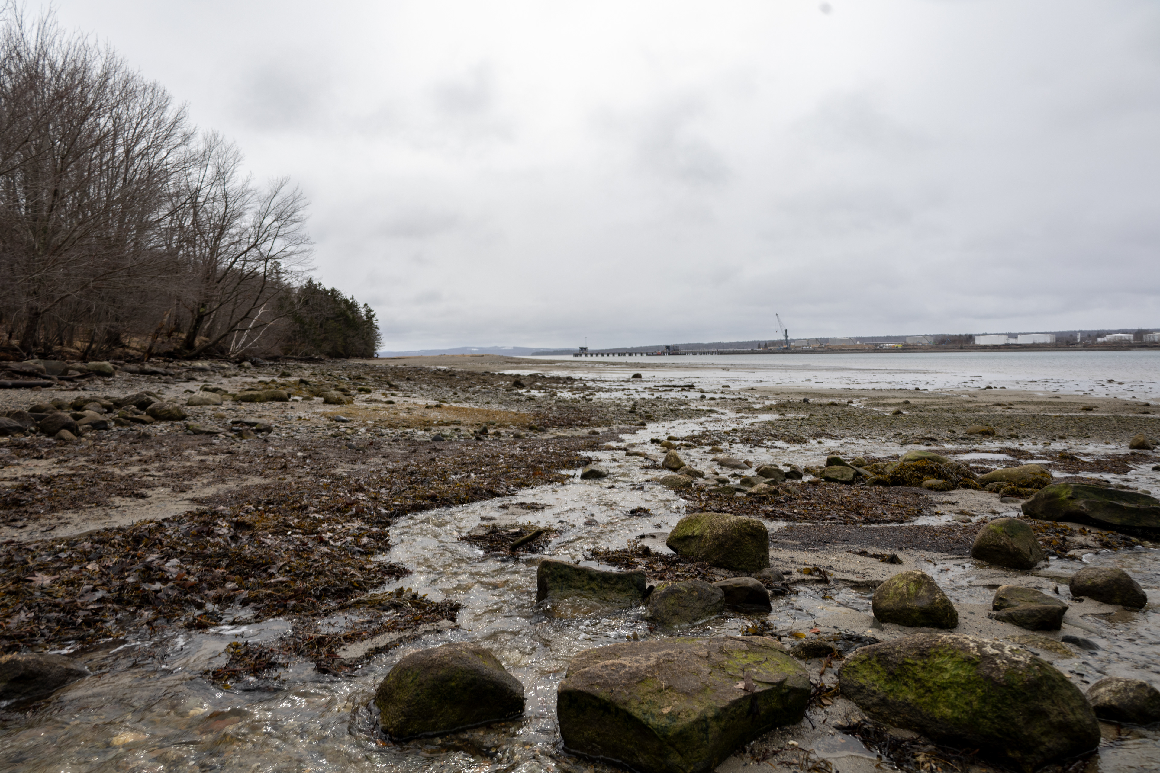 The shore on Sears Island with Mack Point visible across the bay.