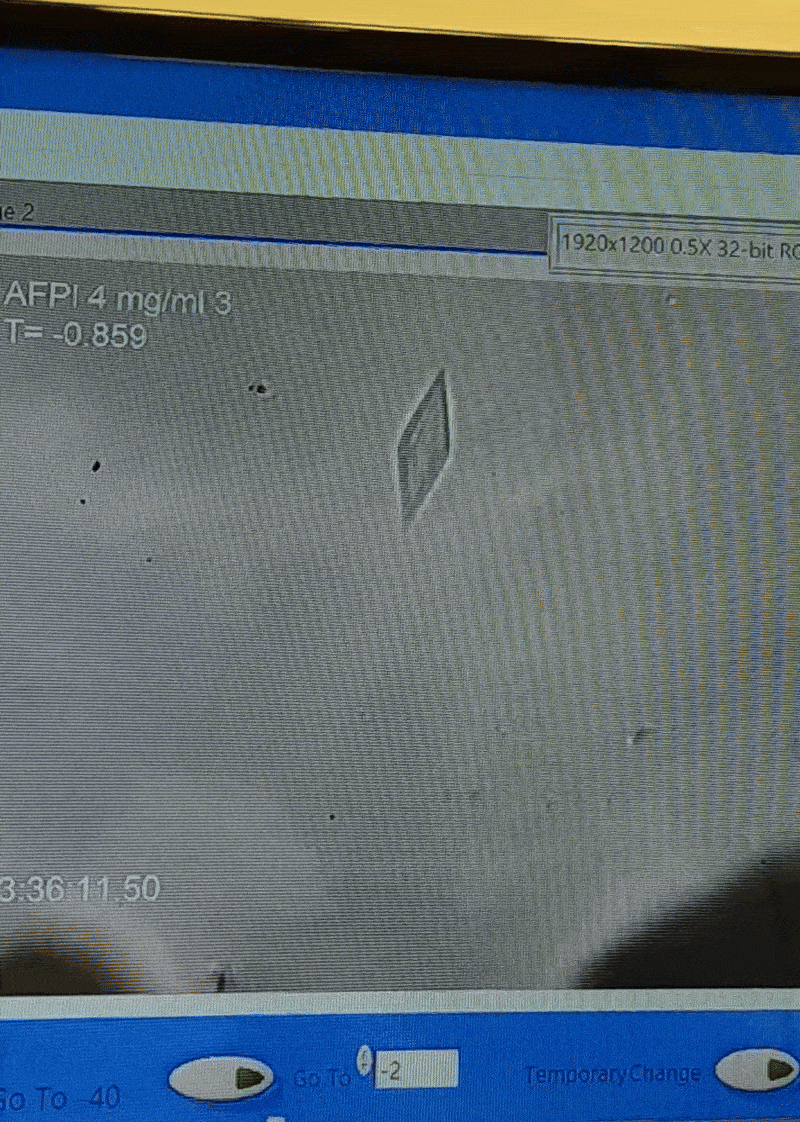 A microscopic ice crystal "bursting" once it hits a certain temperature threshold.