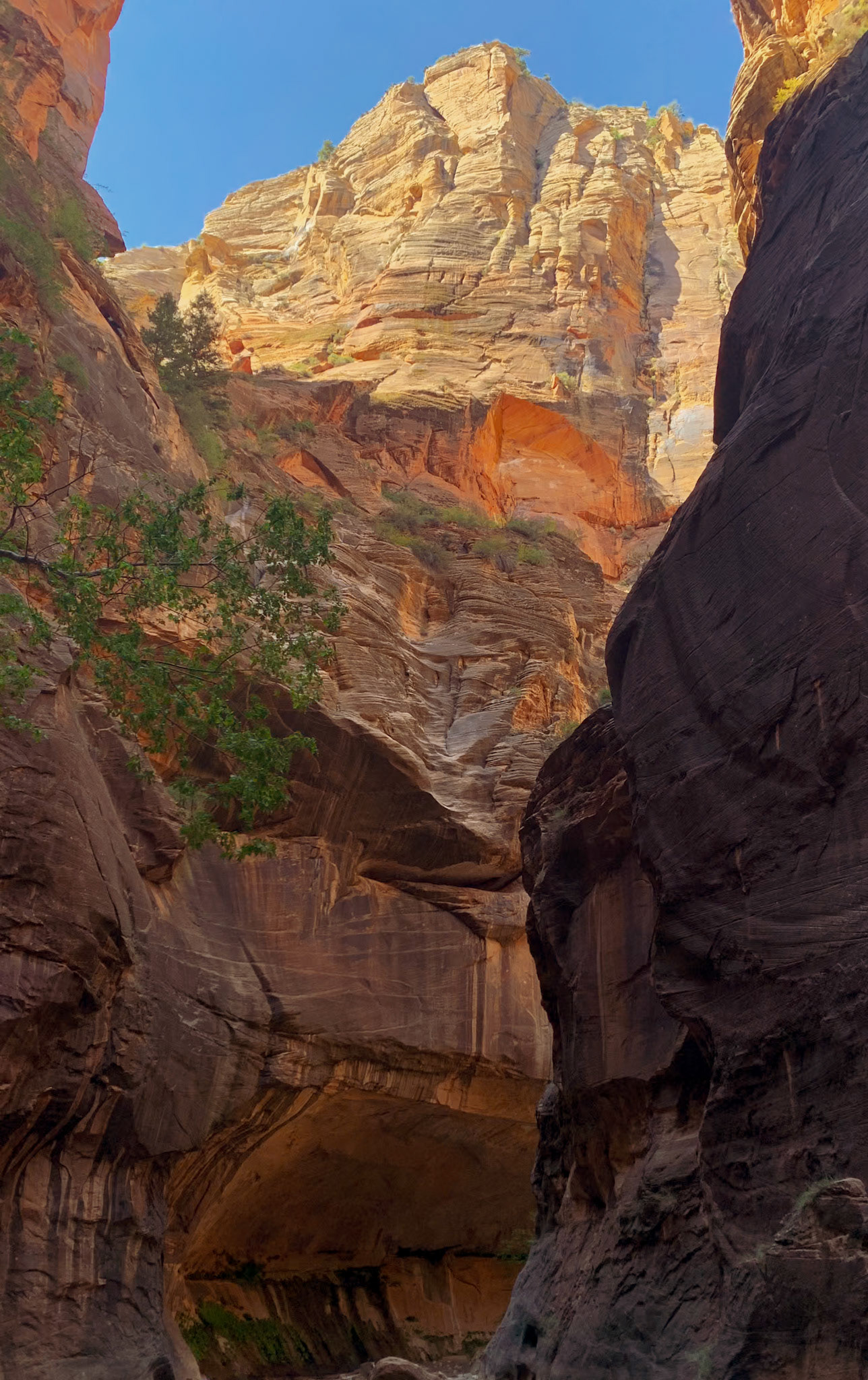 Zion National Park, Utah