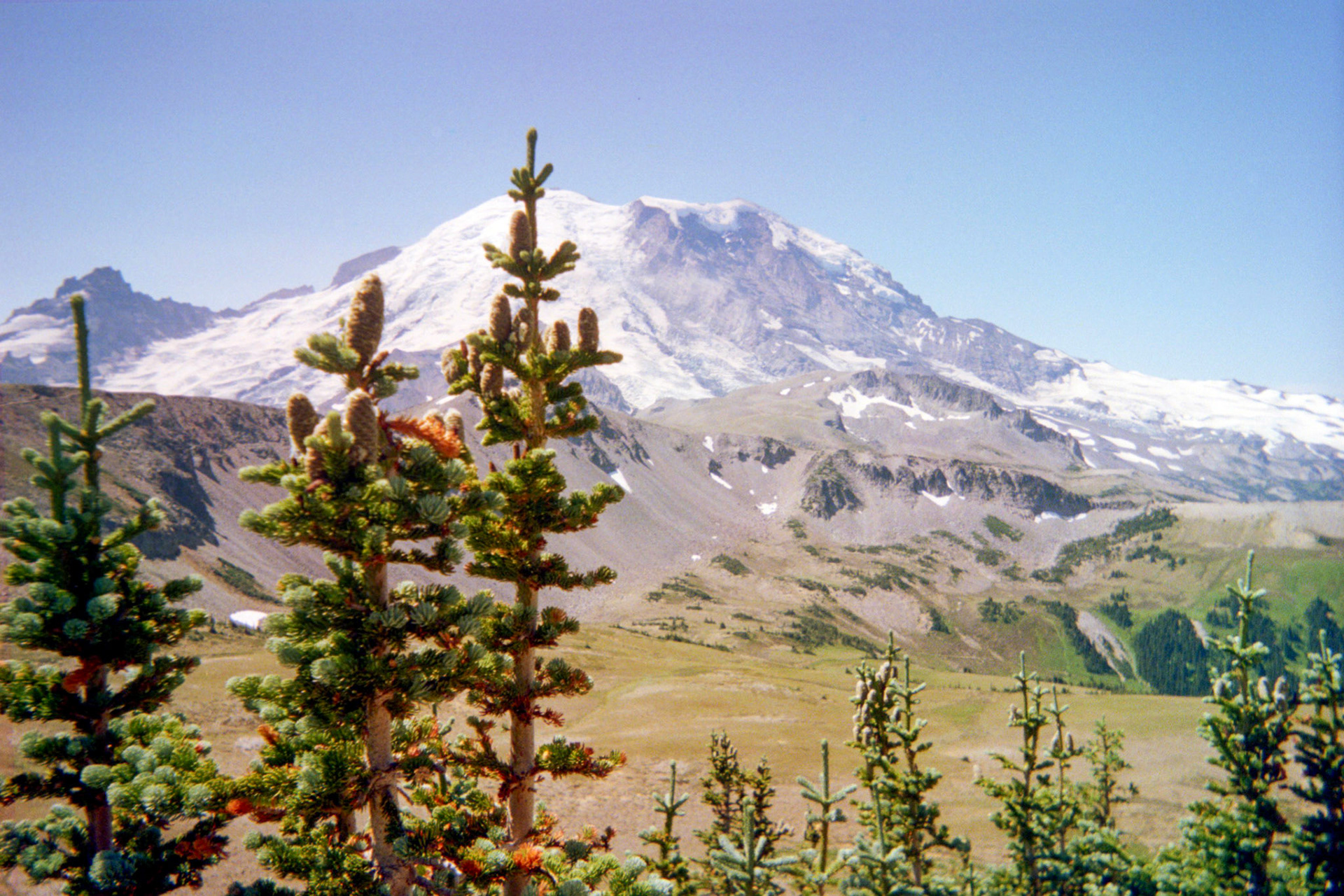 Mount Rainier National Park, Washington