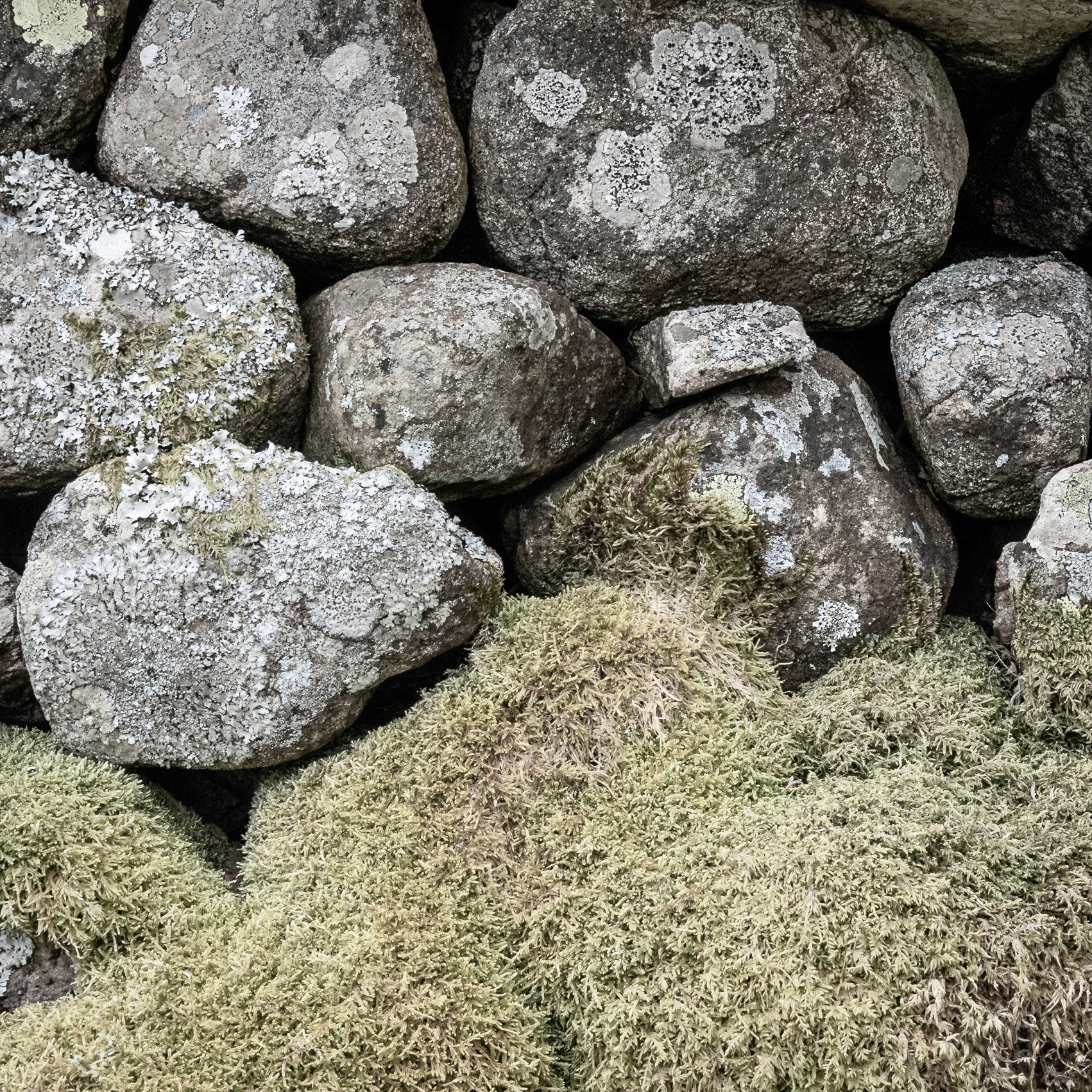 Part of an old stone wall close to Ennerdale Water in Cumbria, love the textures and muted palette.