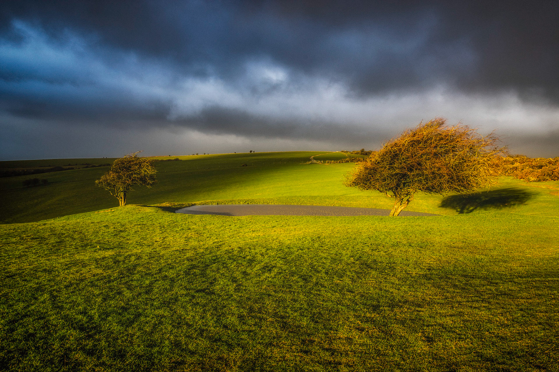 The dewpond above Ditchling very early one mornning on a very windy and showery day, the golden lightbhere lasted just a couple of minutes before the next downpour.