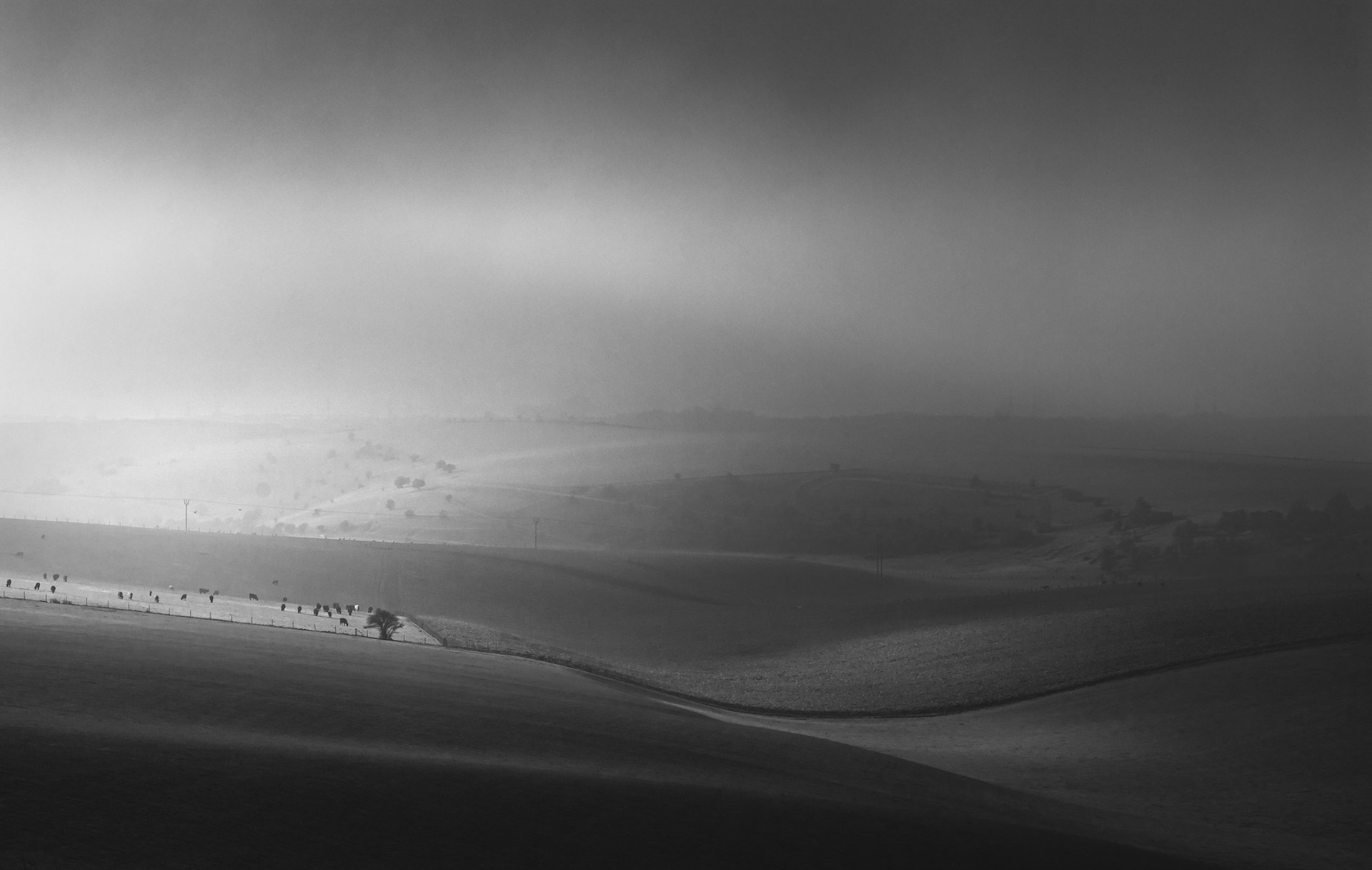 Its all about the light, a foggy morning on the Downs at Devils Dyke, the sun and fog dance on the landscape causing dappled light to appear for a brief moment.