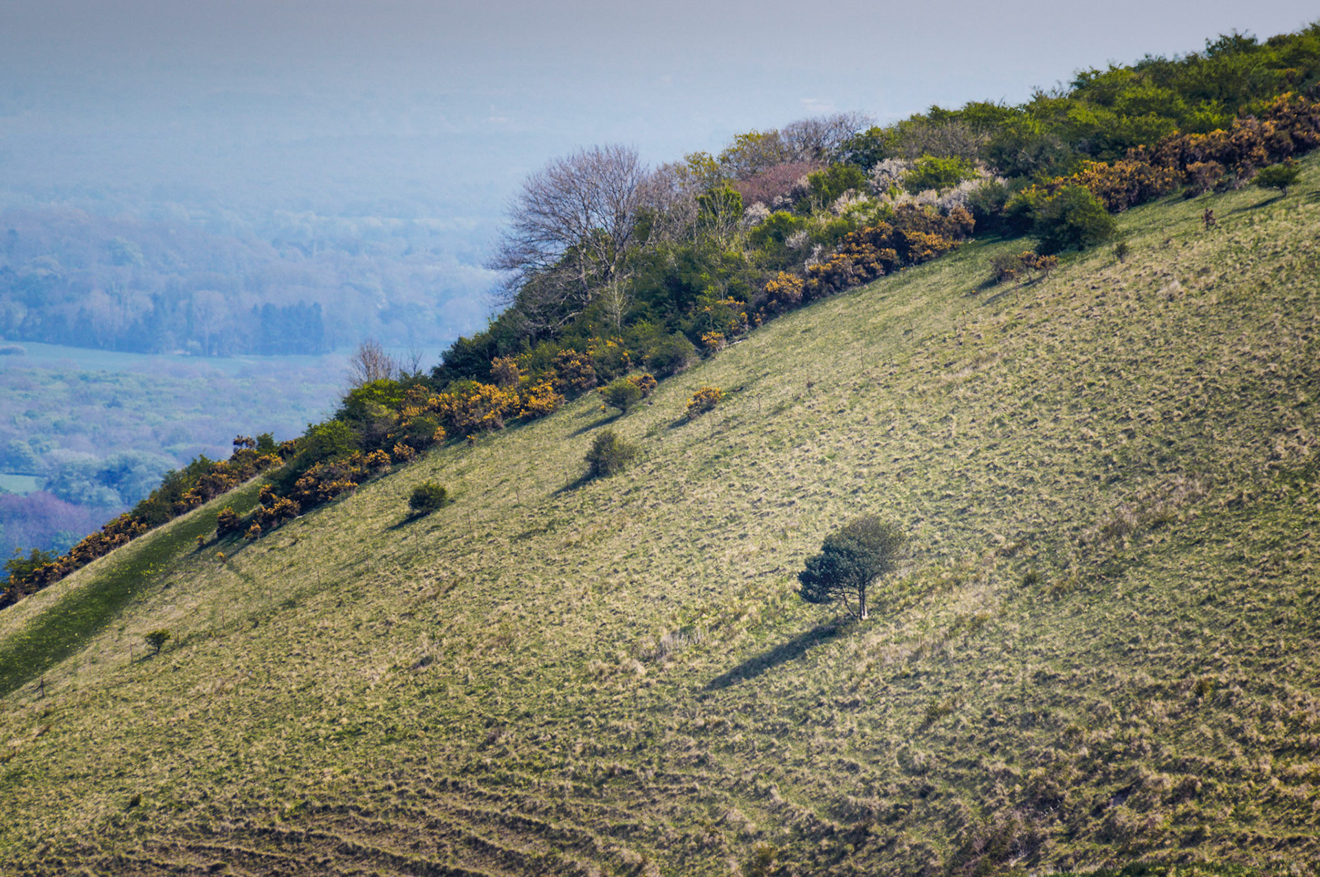 The hiiside at Ditchling Beacon on a hazy afternoon