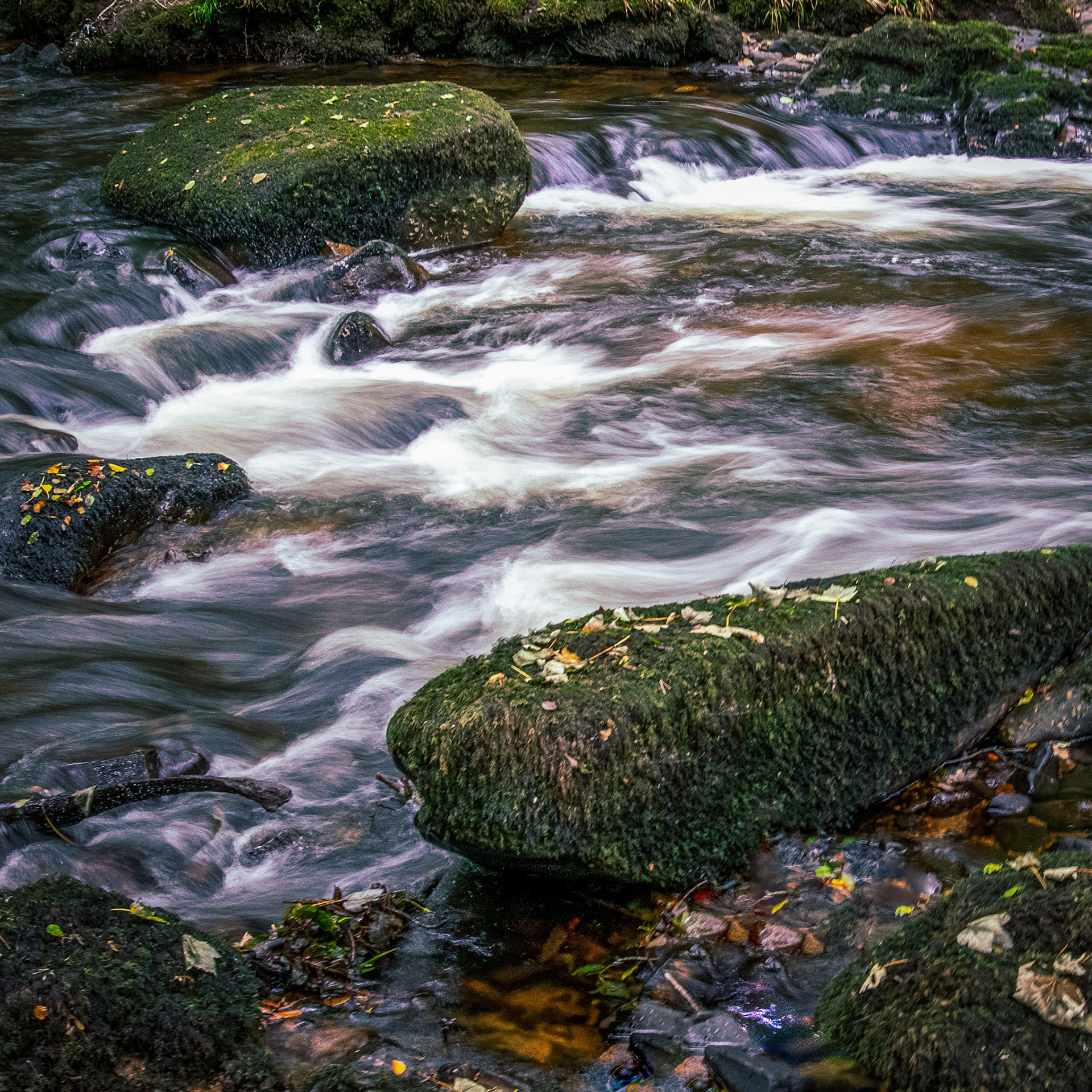 The River Teign rushes and swirles through rocks . No tripod with me on this occasion so exposure was hand held.