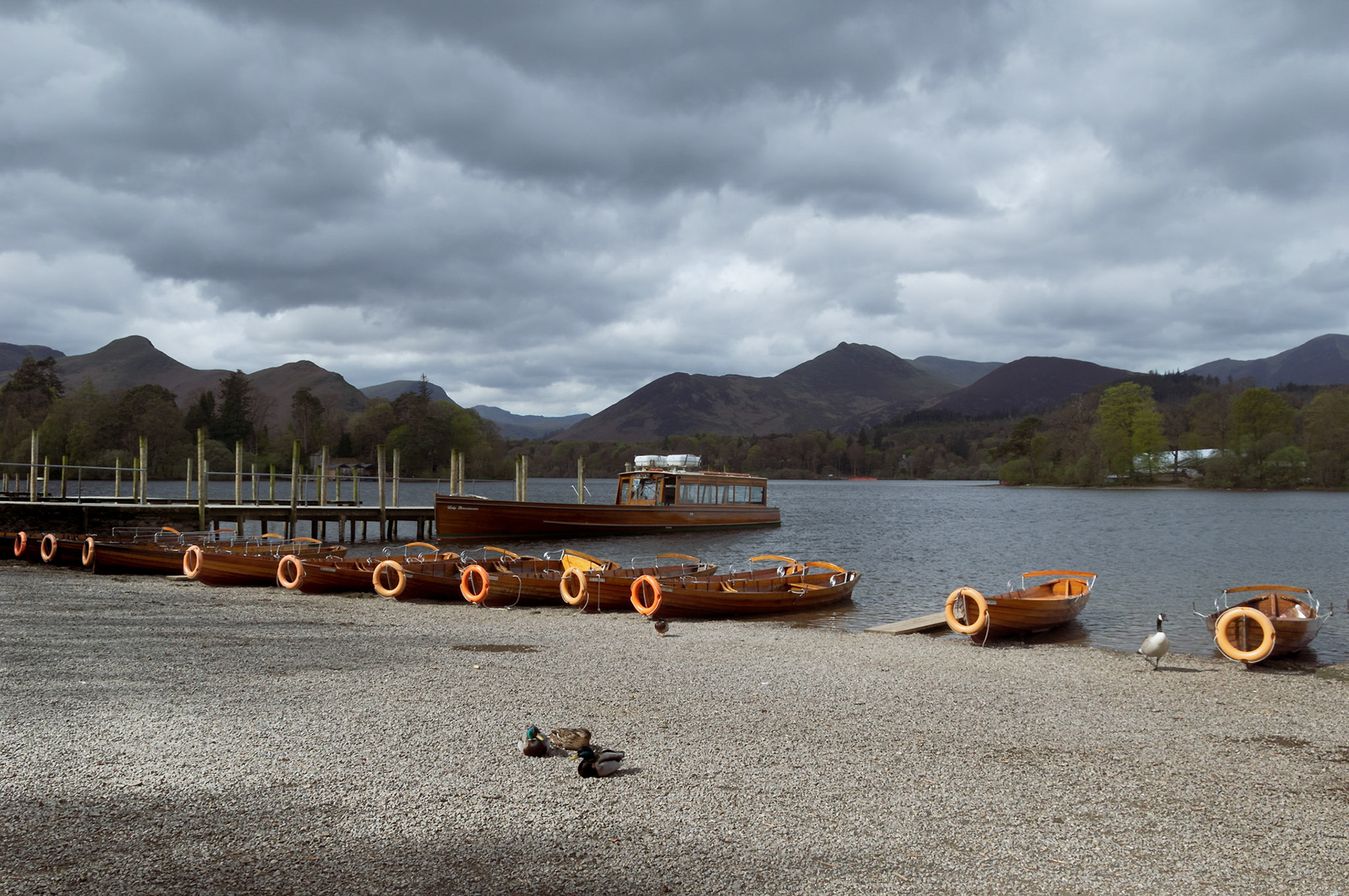 Pleasure boats await the first passengers of the day.