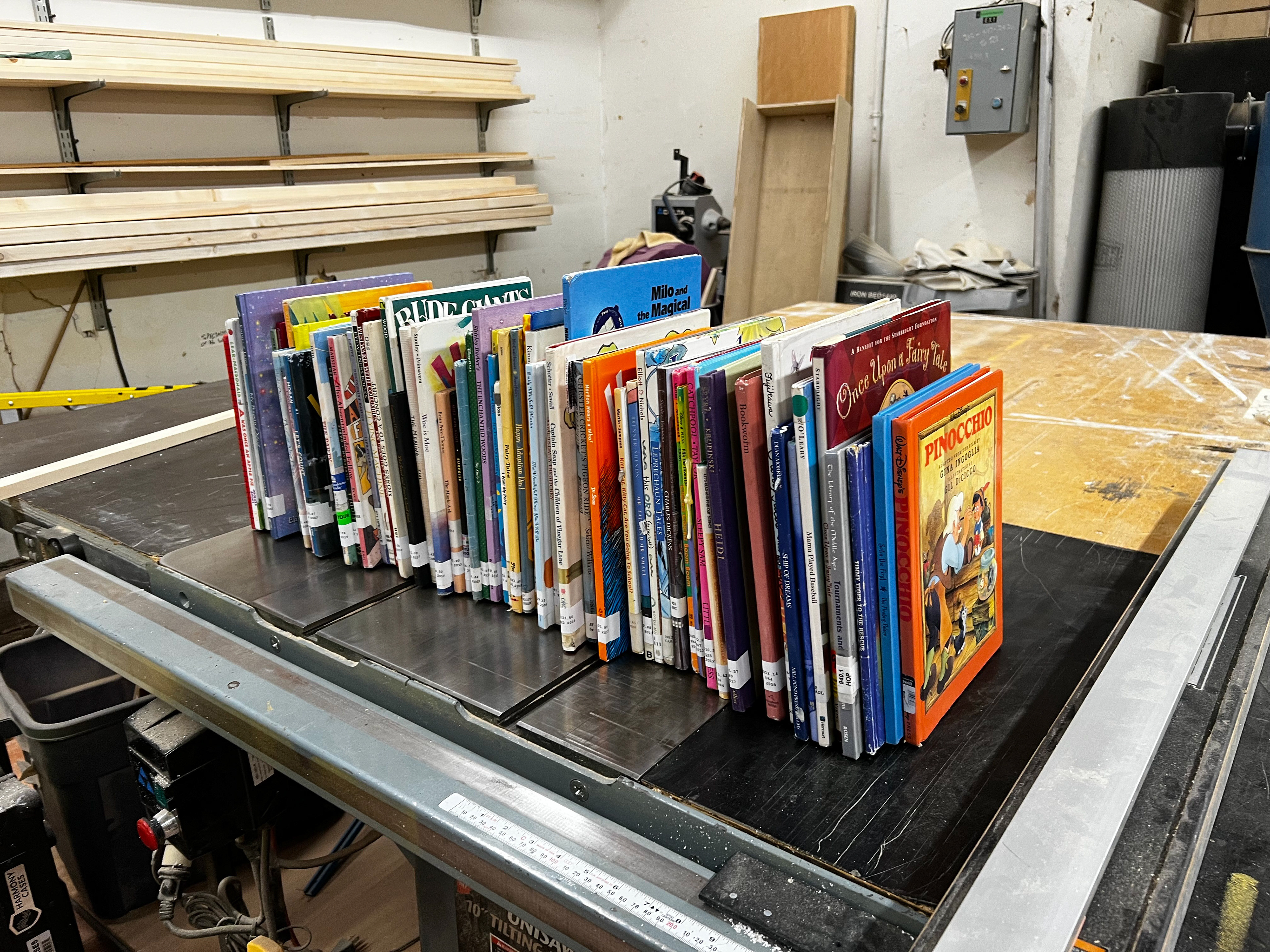 Disappearing Books for EUREKA DAY