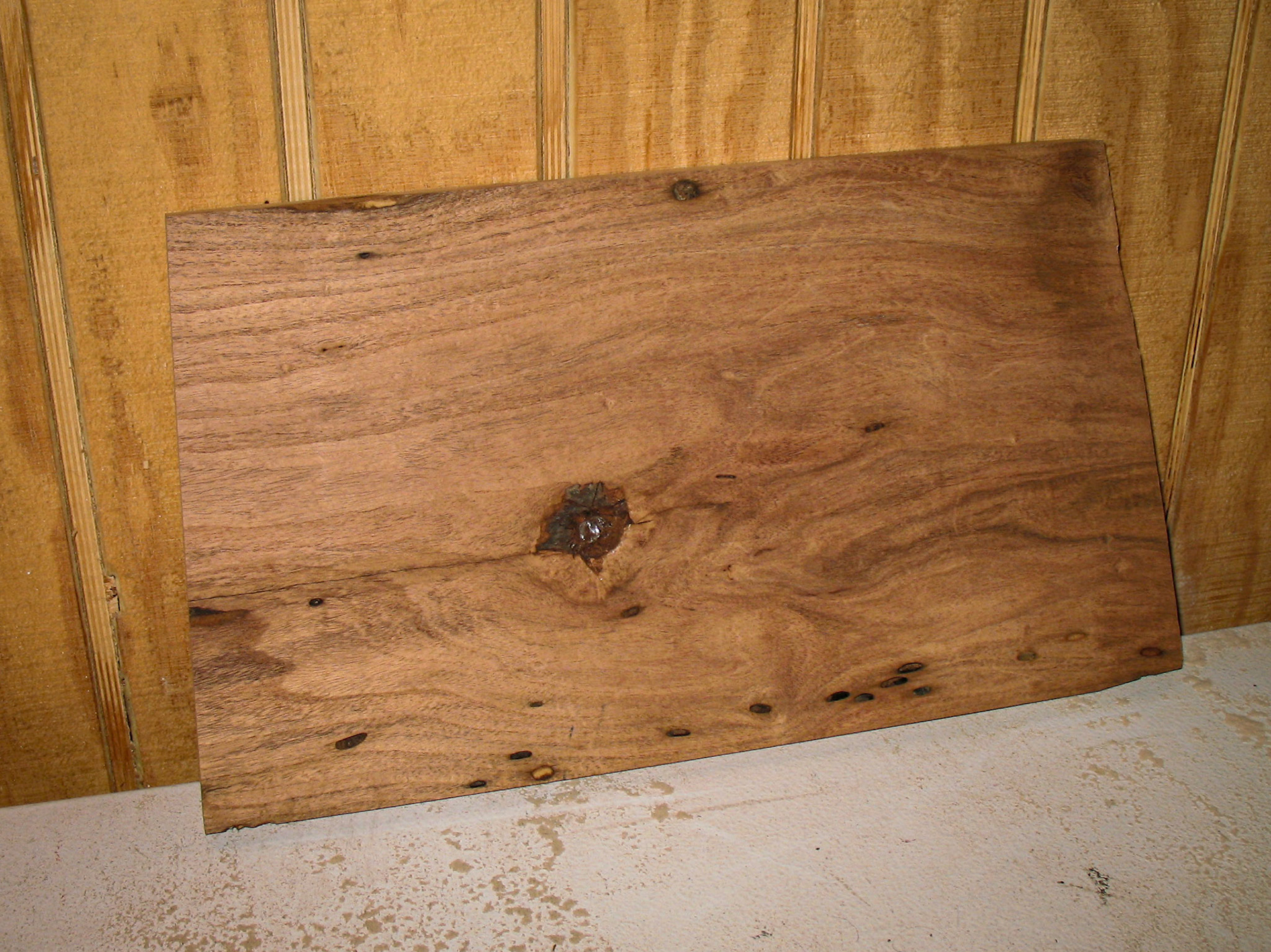 An interesting find in the mesquite.