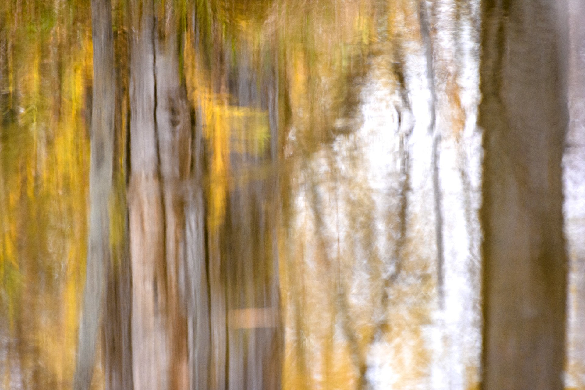 Reflection