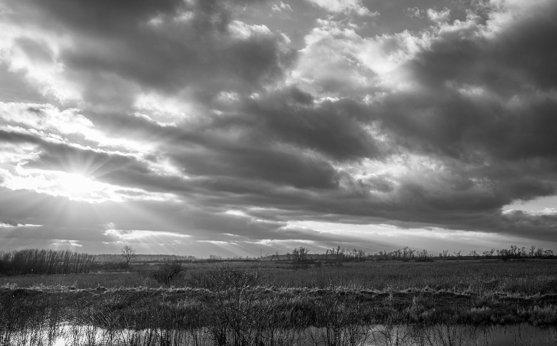 Sunset On The Marsh