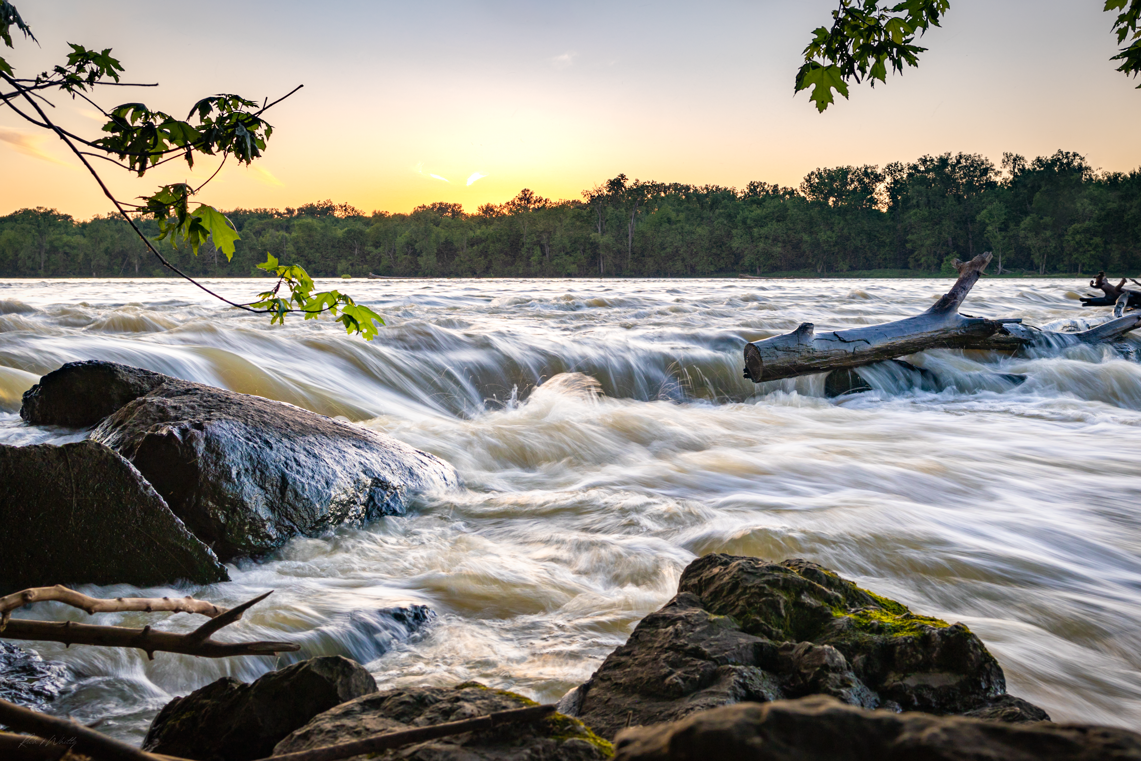 Maumee River 1