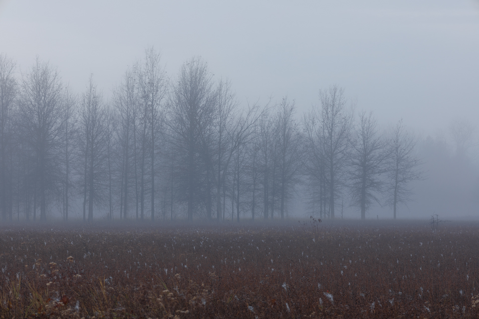 Irwin Prairie 6