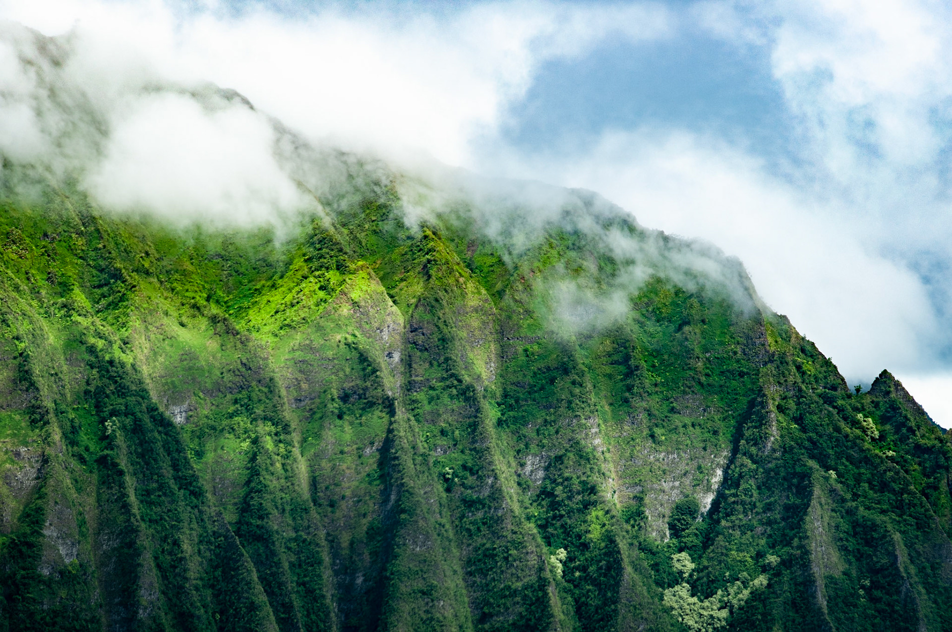 Pali Lookout
