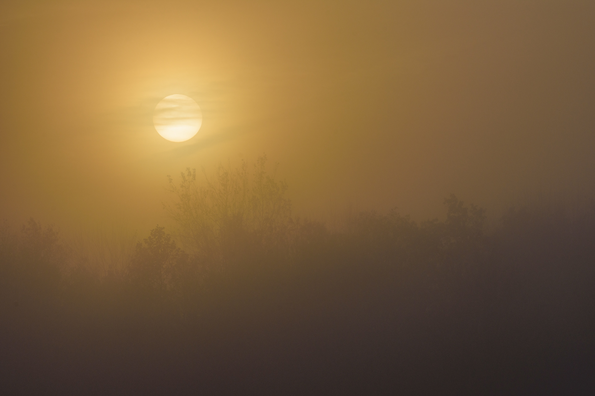 Irwin Prairie 8