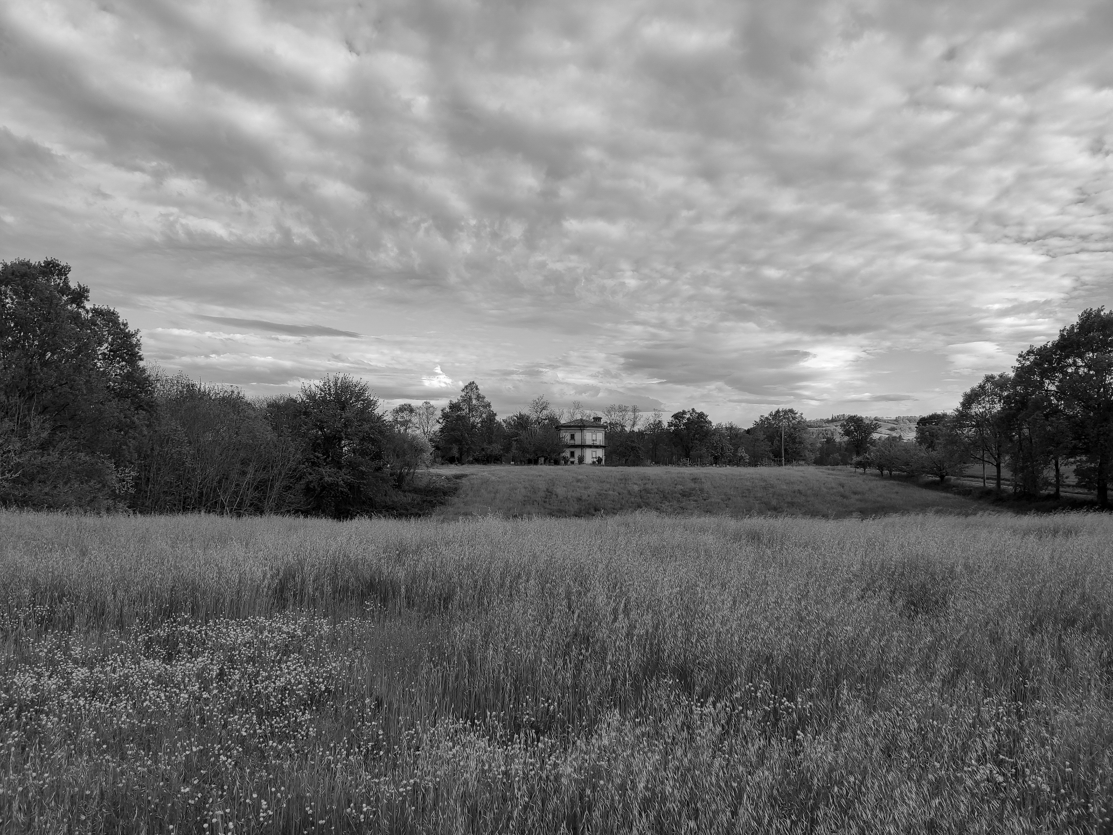 Tiny house in the middle of a field