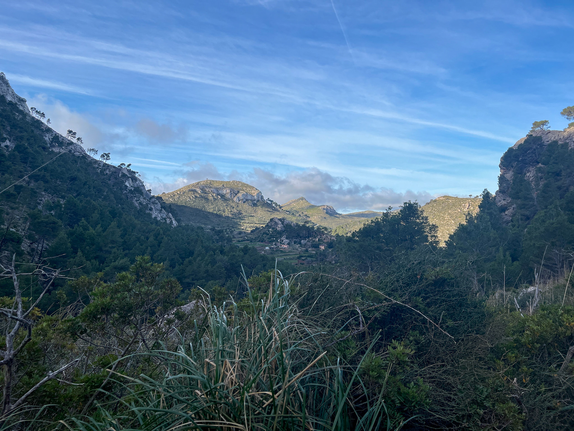 Blick auf Tramuntana