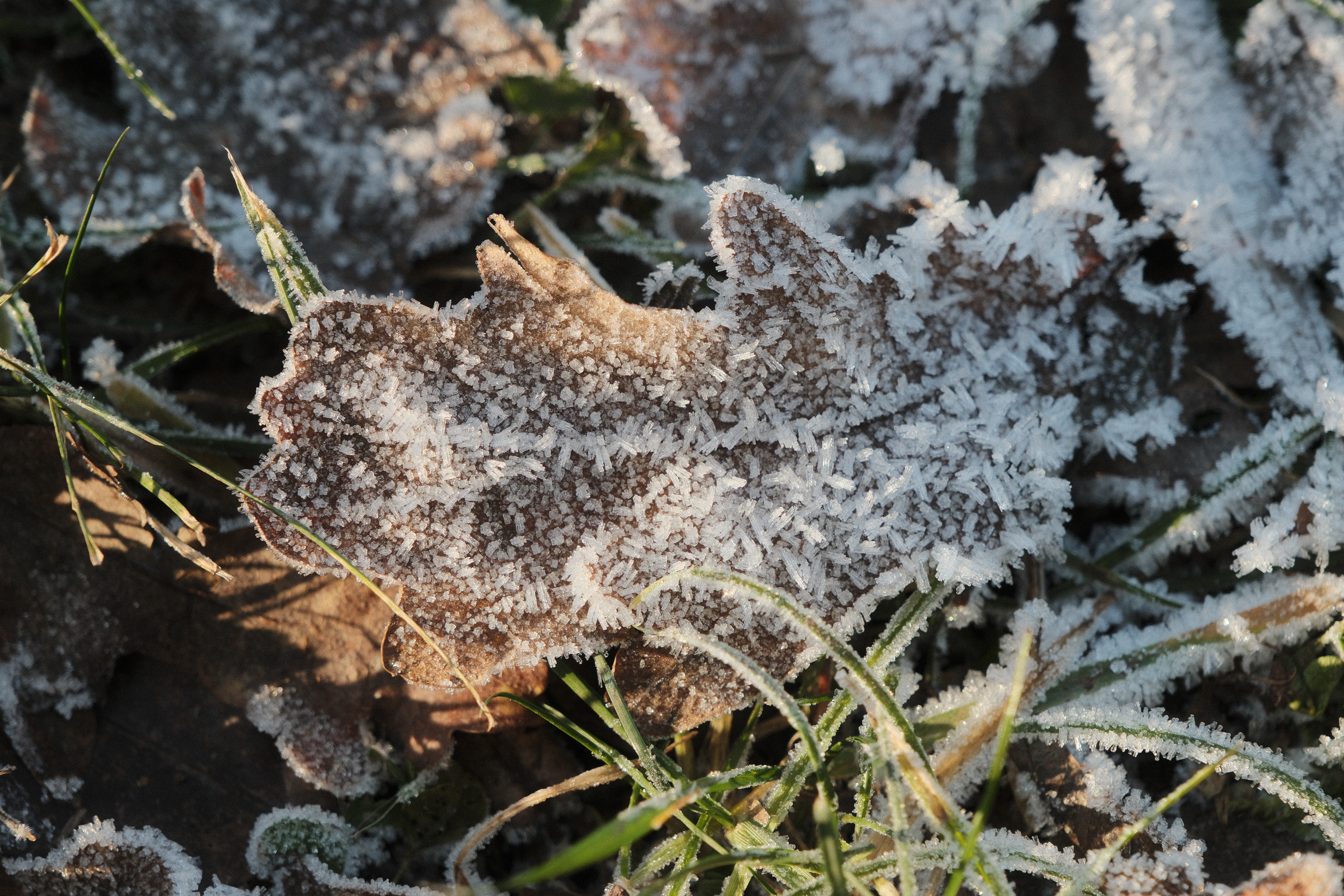 Ein einzigartiger Blick auf eine Baustelle, die im goldenen Licht der Dämmerung eingefangen wurde. 🏗️✨ Dieses Foto zeigt die Harmonie zwischen urbaner Architektur, rauen Baustellenstrukturen und der weichen Lichtstimmung des Abends. Ideal für alle, die den Charme moderner Städte und die Ästhetik des Fortschritts festhalten möchten. Entdecke mehr auf www.fujicolours.com – Deine Plattform für urbane und moderne Fotografie.