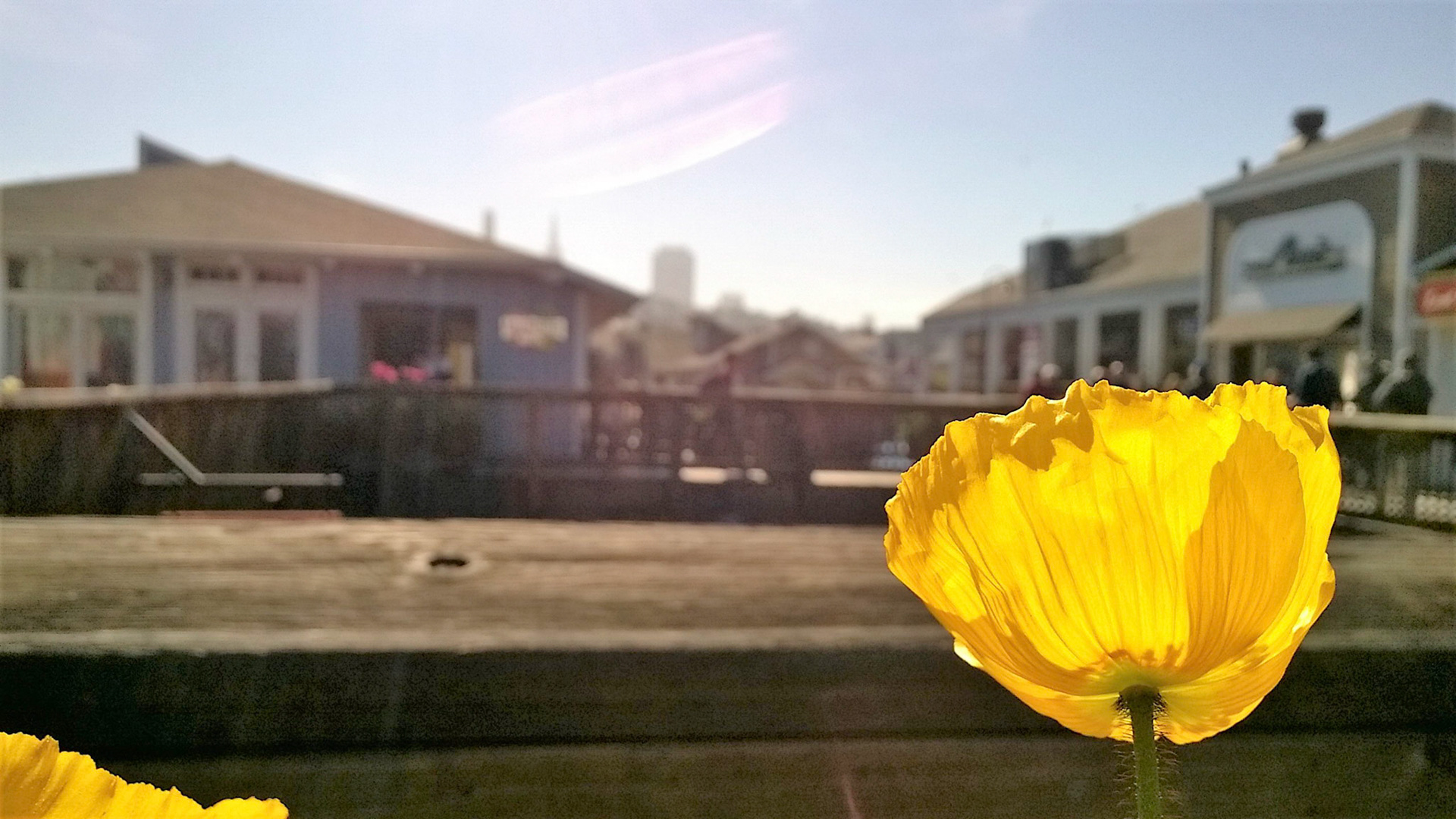 Created with Nokia Refocus