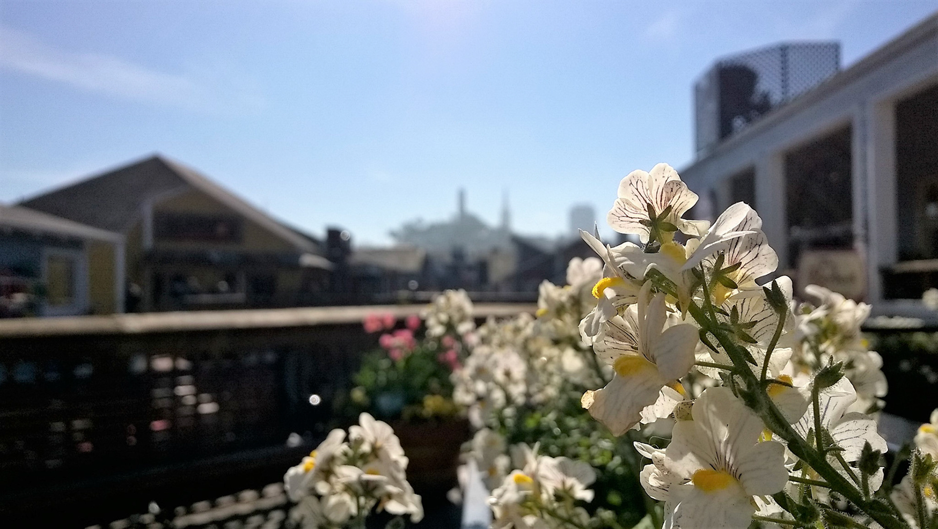 Created with Nokia Refocus