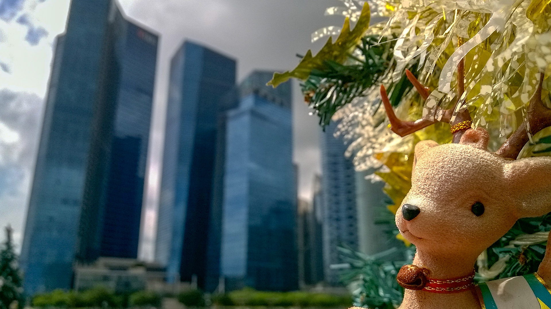 Created with Nokia Refocus