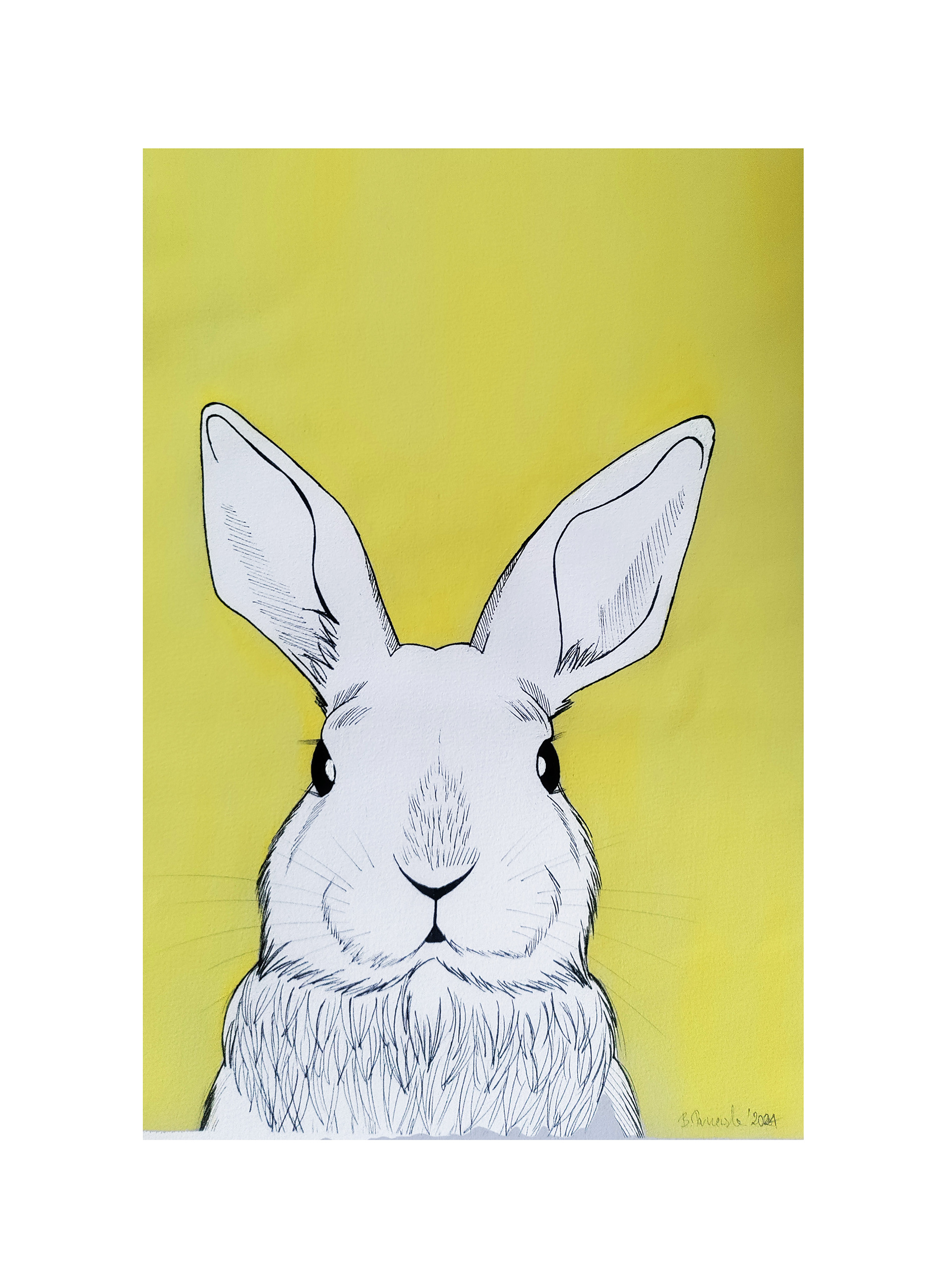 Bunny - ink and paint