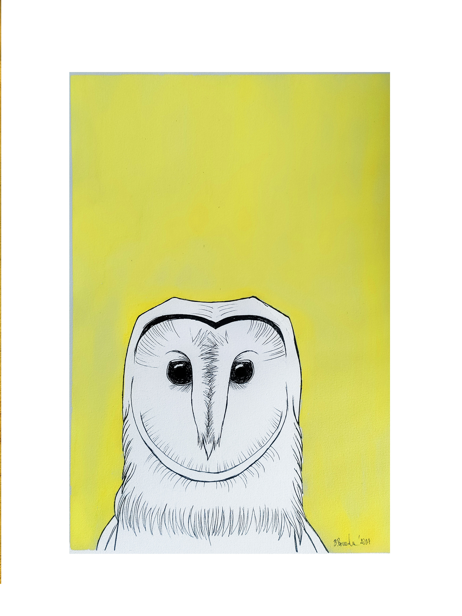 Owl - ink and paint
