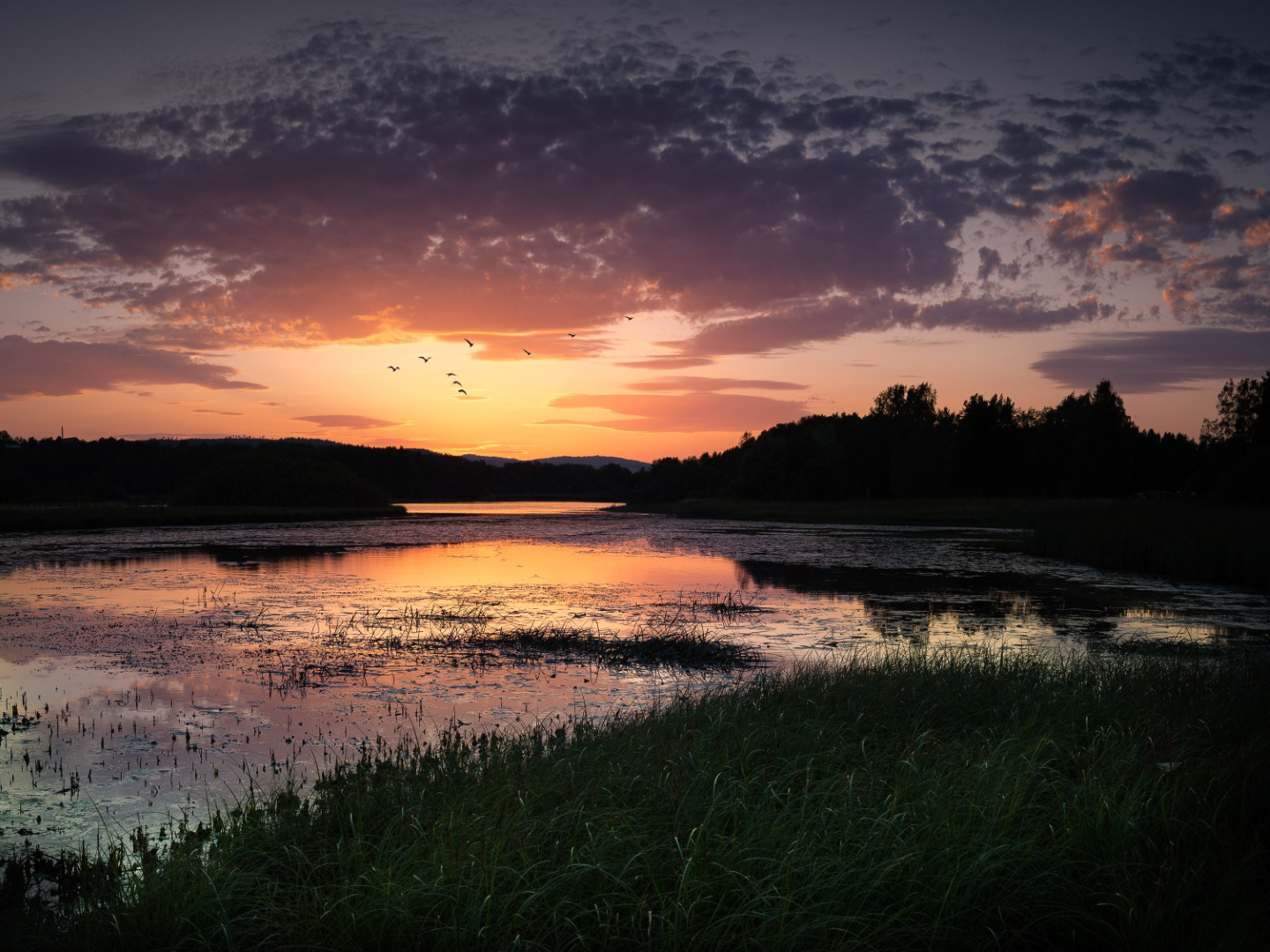 Varm og fargefull sensommer solnedgang over Nittelva. Fugler flyr i flokk gjennom det vakre lyset