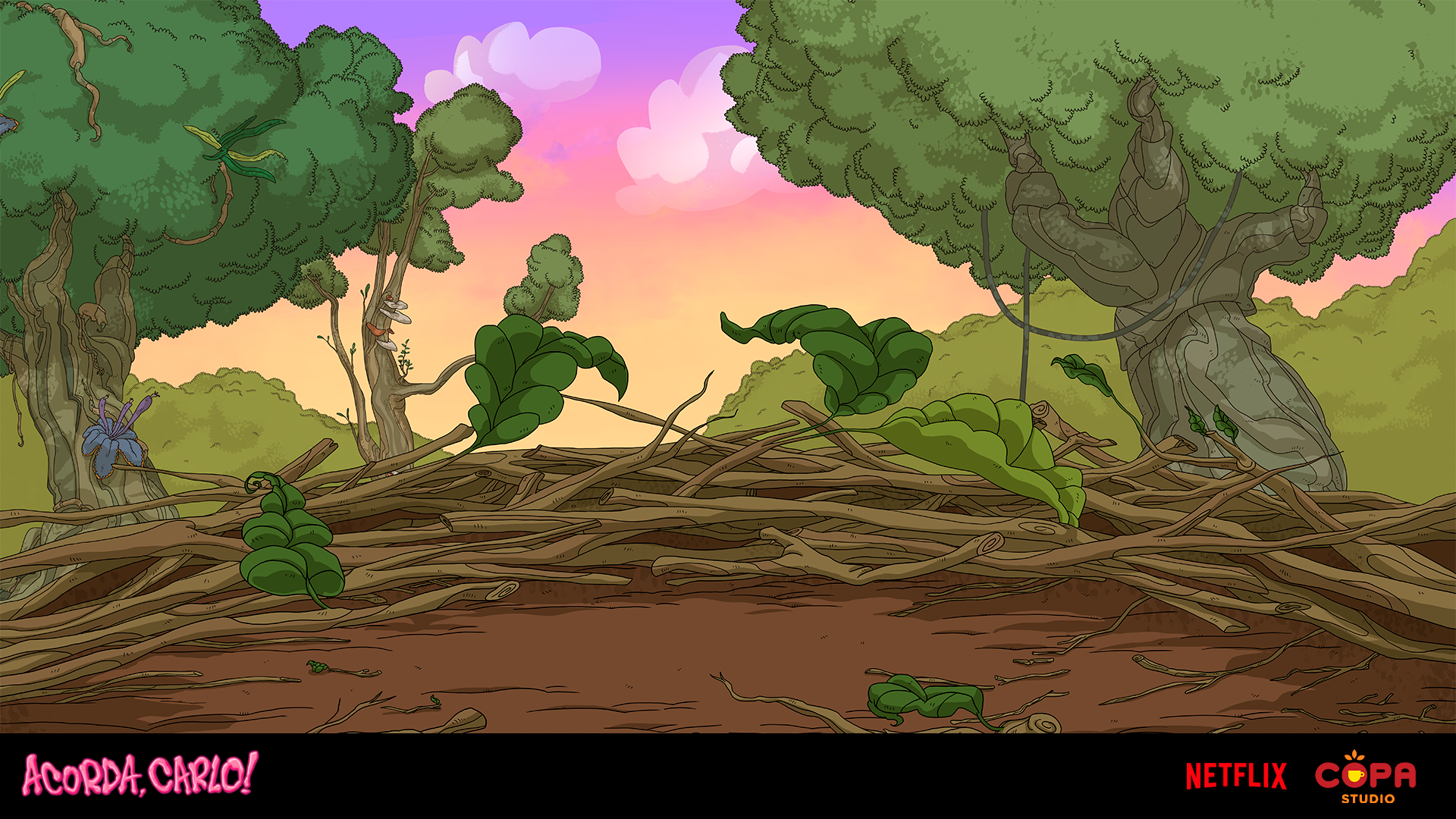 Layout, linha e cor. Supervisão: Fred Cassar