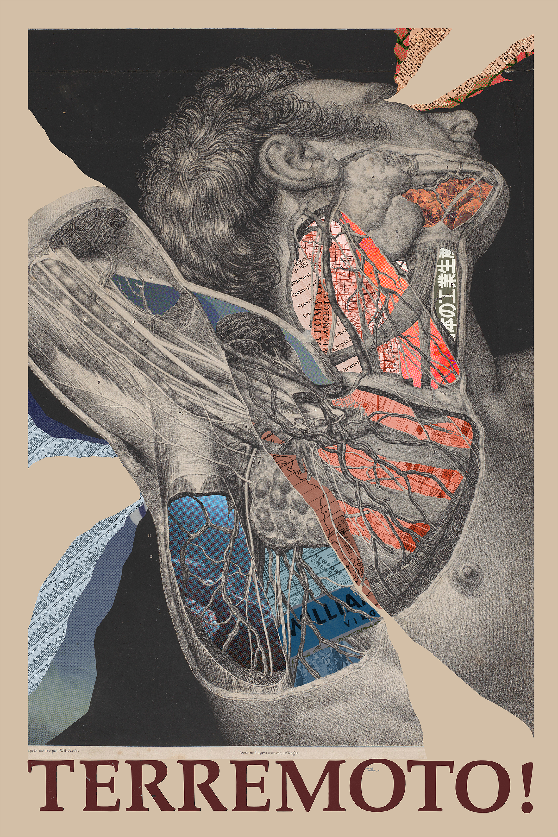 Larger Resolution (Original is 24x36in)