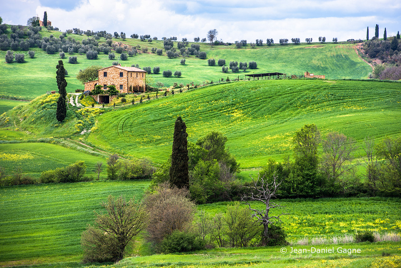 Campagne autour de Pienza
