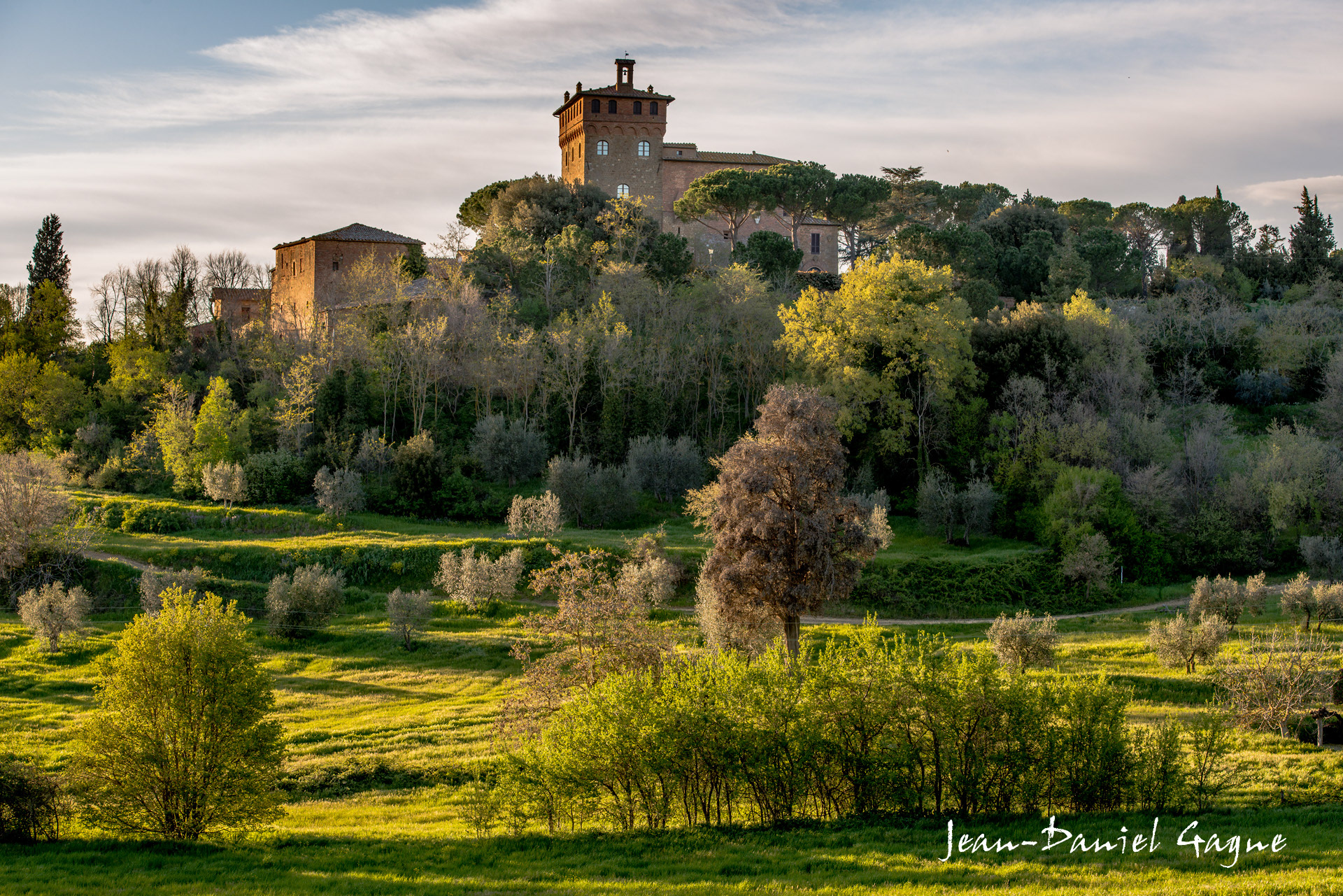 Vignoble près de Montepulciano