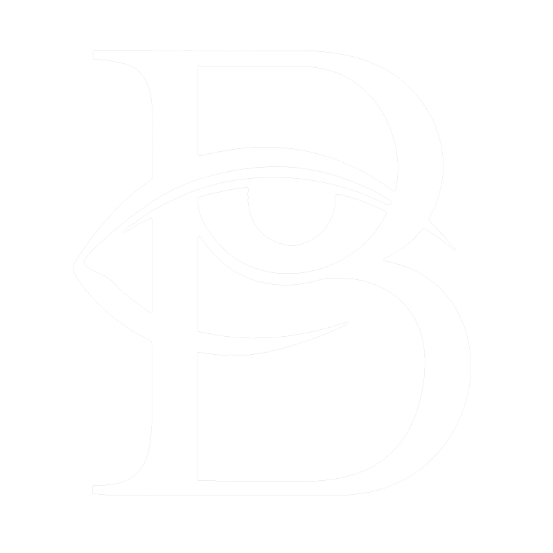 Portfolio "Bibheist Creative Art" - The Starry Sense