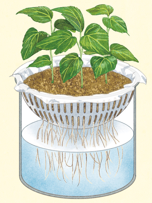 情報誌「めりぃさん」vol.31（2025.6.10発行)　掲載