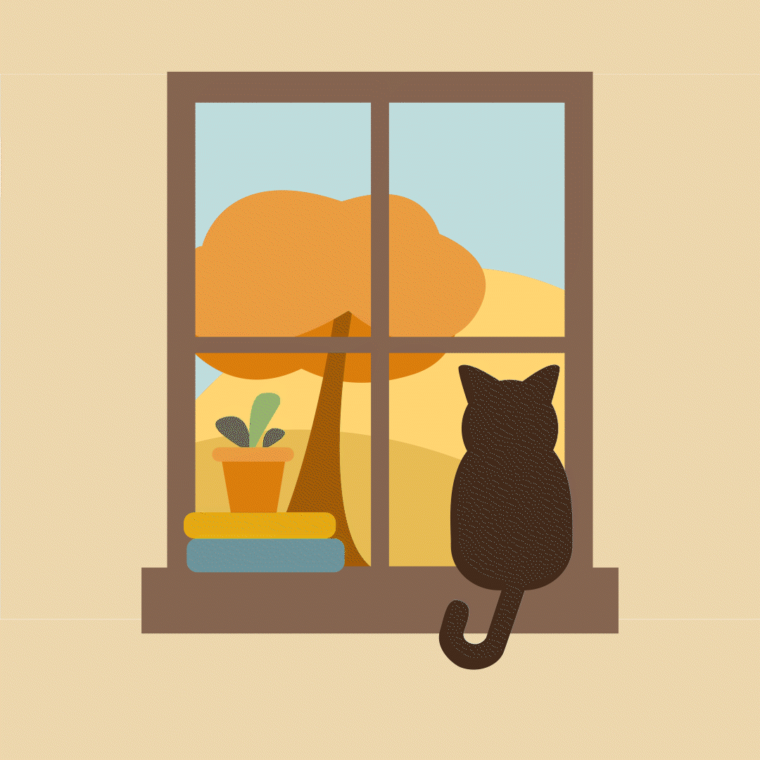 Cat animation (2025)