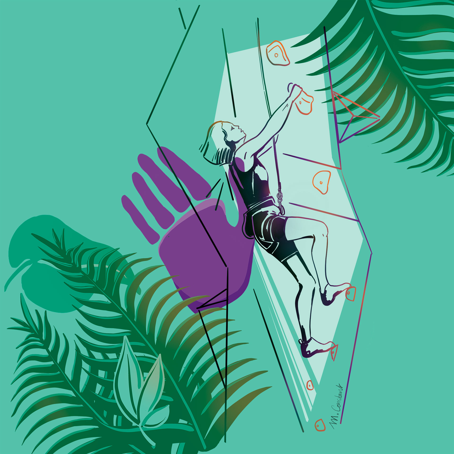 WILD CLIMBER