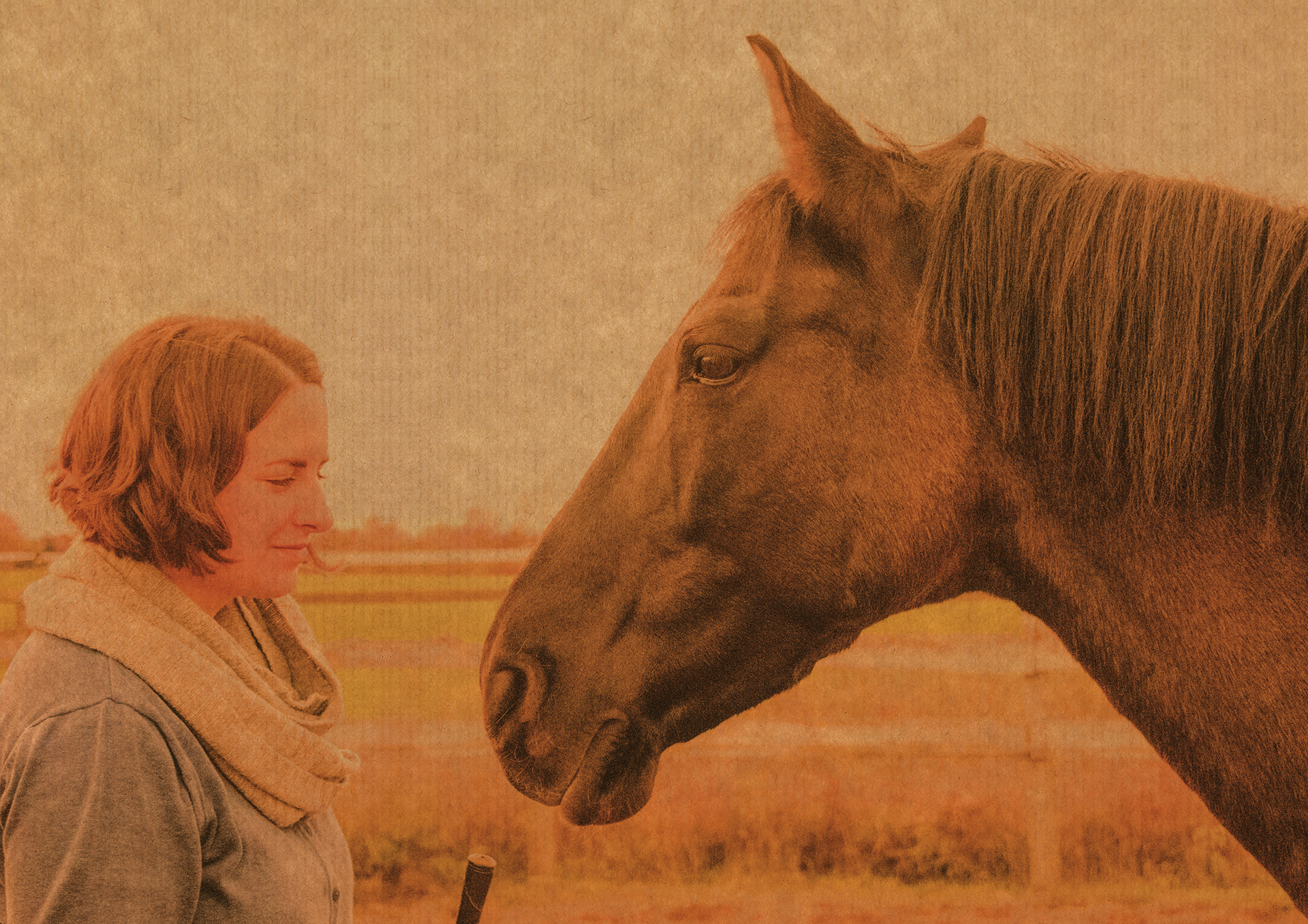 Ausbildungsdiplom hinten